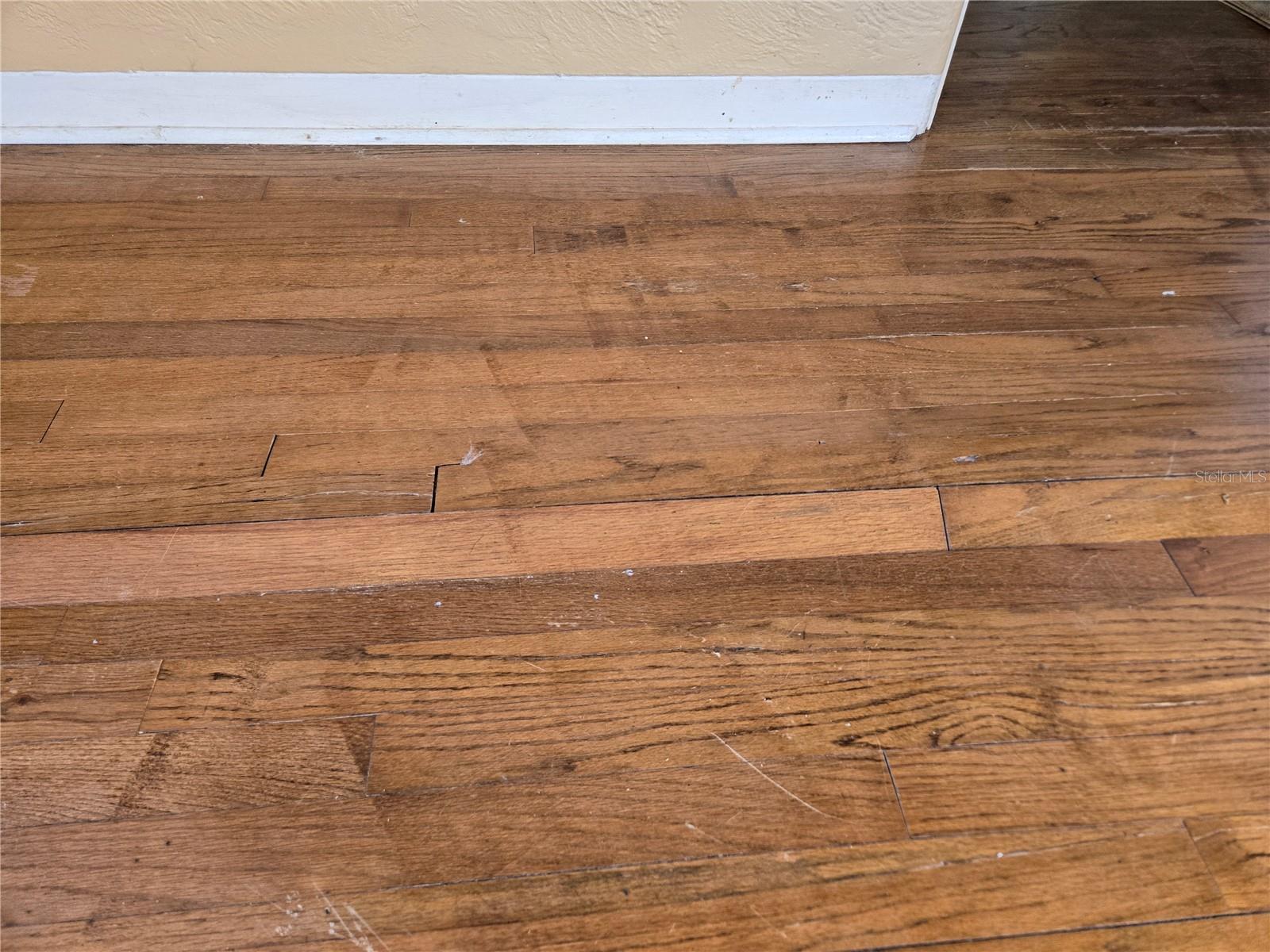 Bedroom 1 floor damage