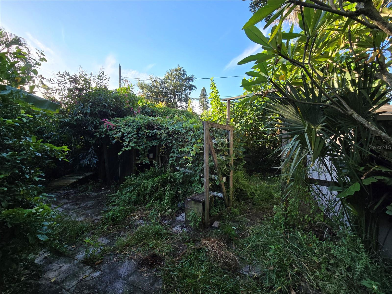 Backyard