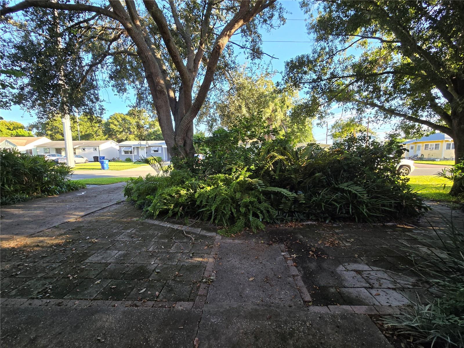 Driveway