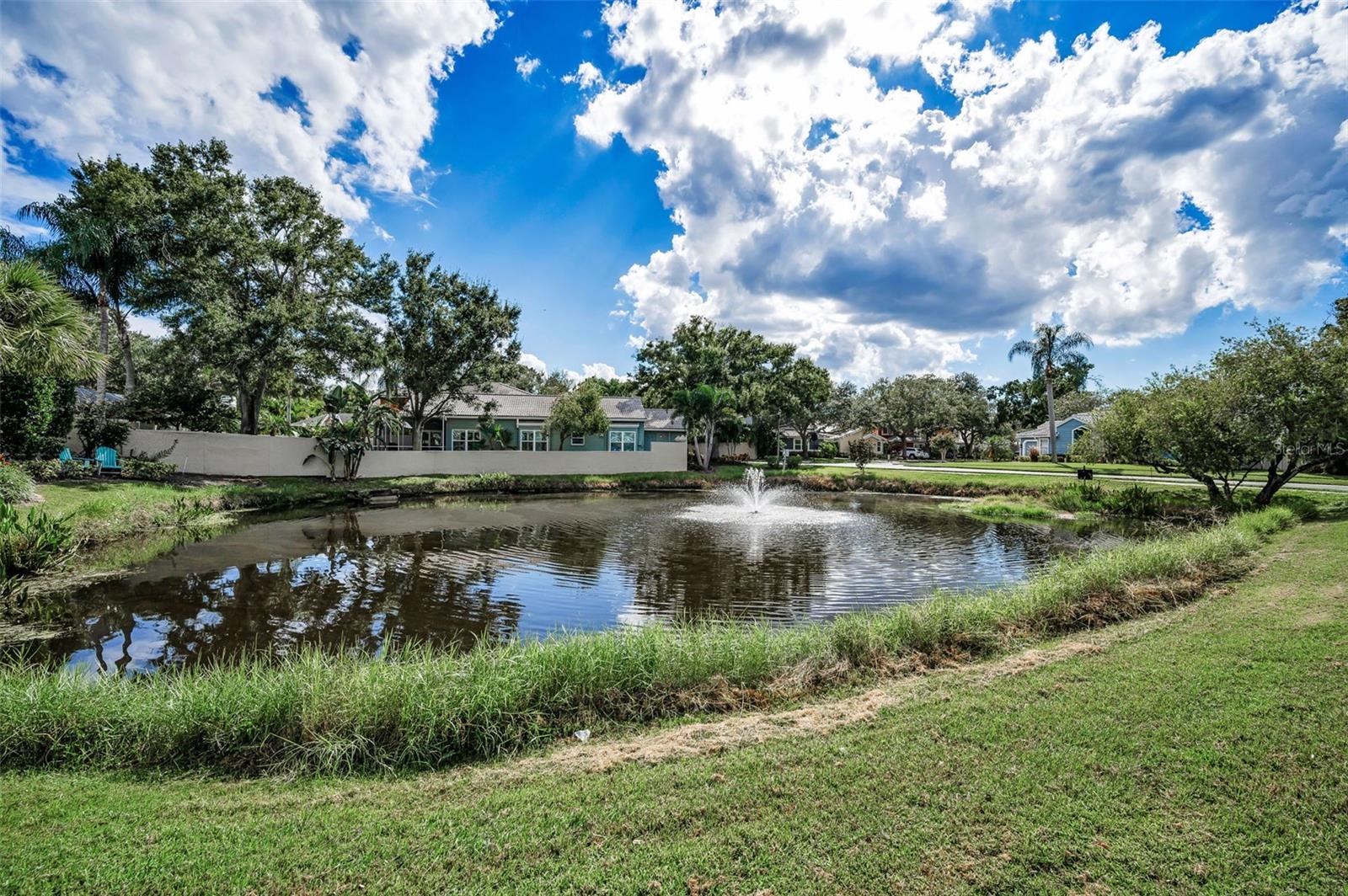 Community Pond