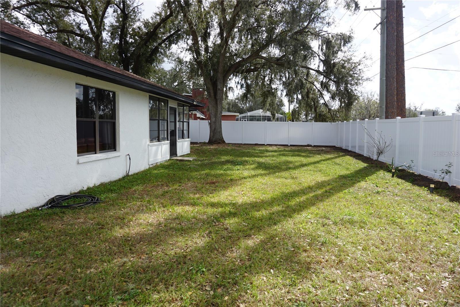 Large Backyard