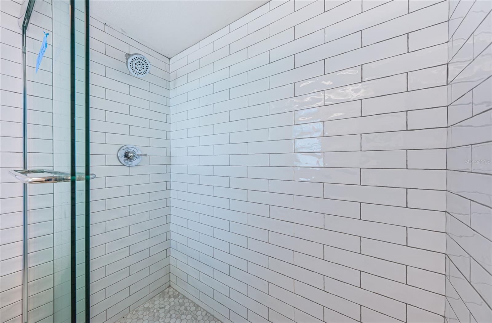 Primary walk-in shower