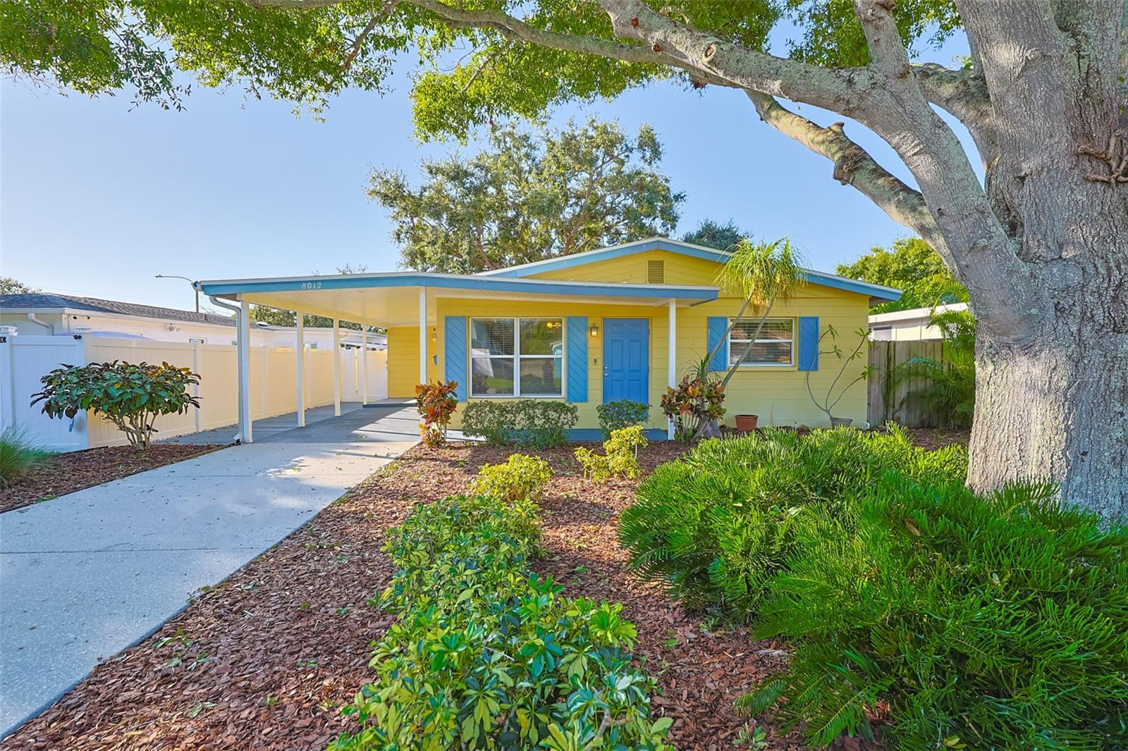 Welcome home to Jungle Terrace!