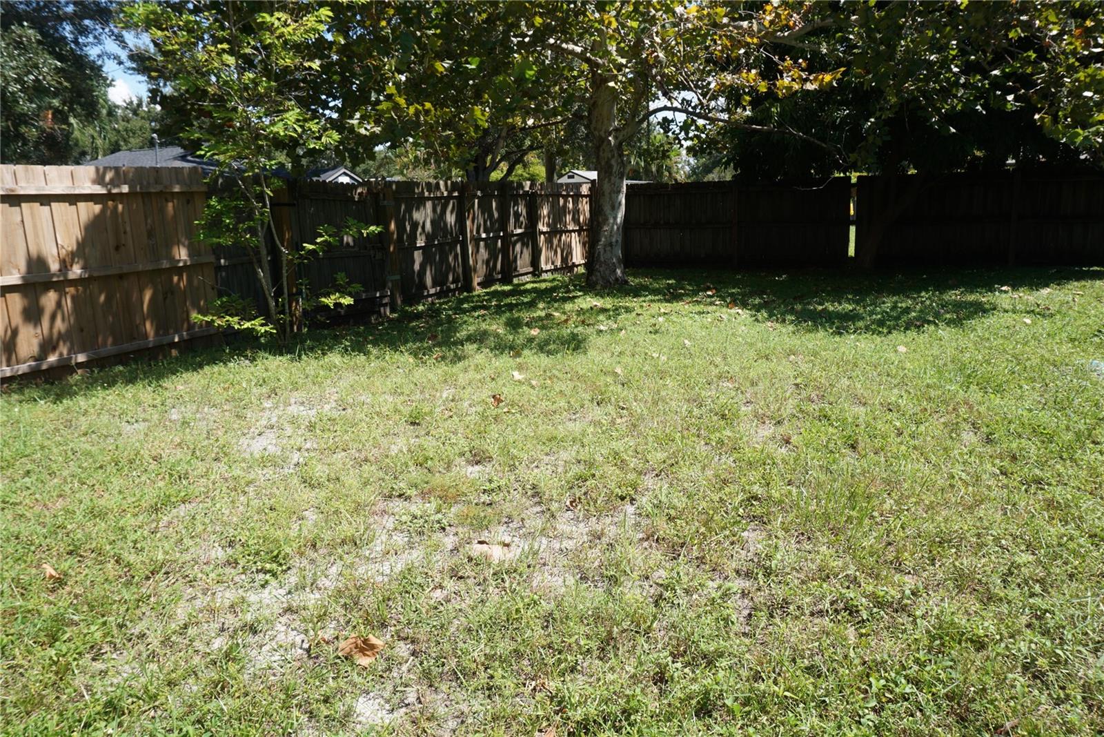 Back Yard