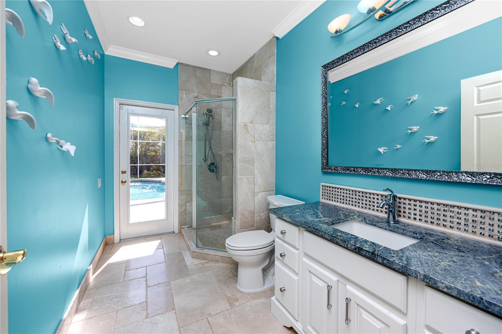 Pool Bath -1471 Briargrove Way, Oldsmar, FL 34677