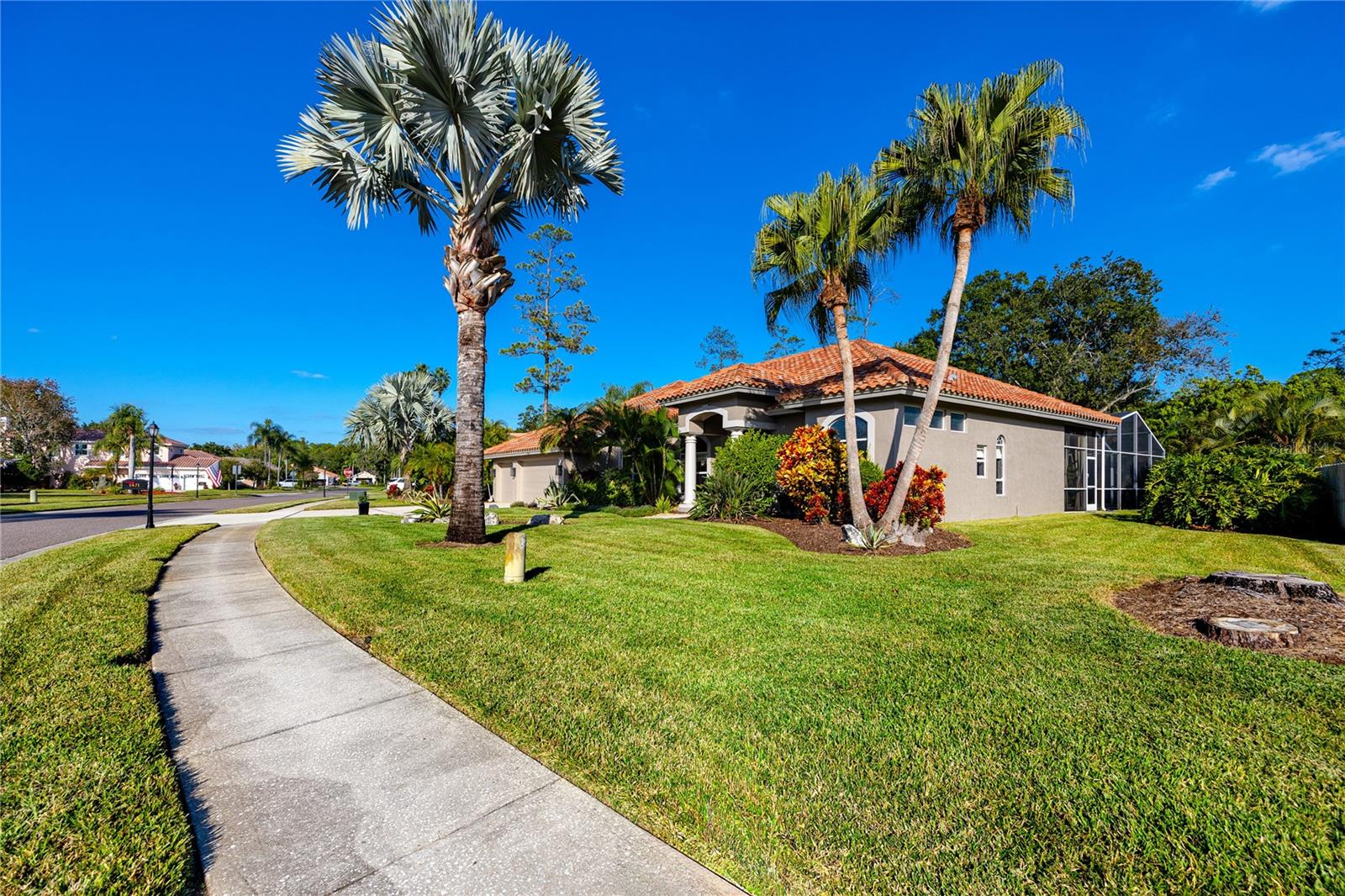 Front -1471 Briargrove Way, Oldsmar, FL 34677