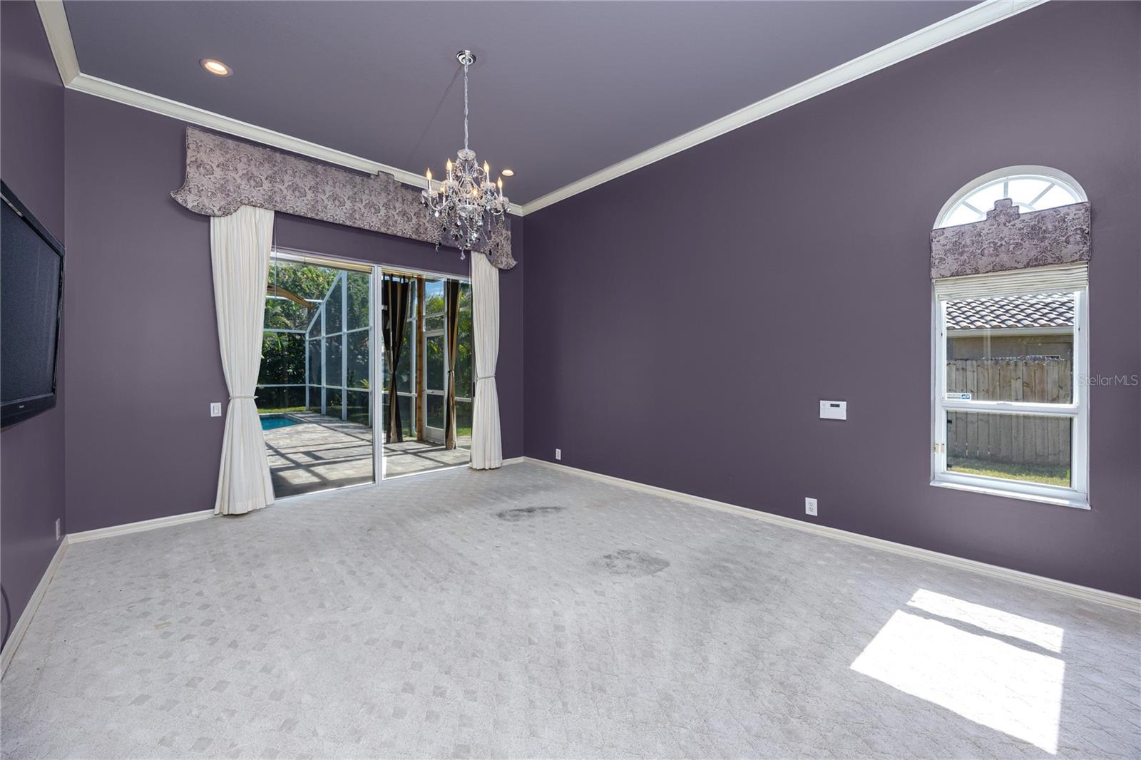 Primary Bedroom -1471 Briargrove Way, Oldsmar, FL 34677