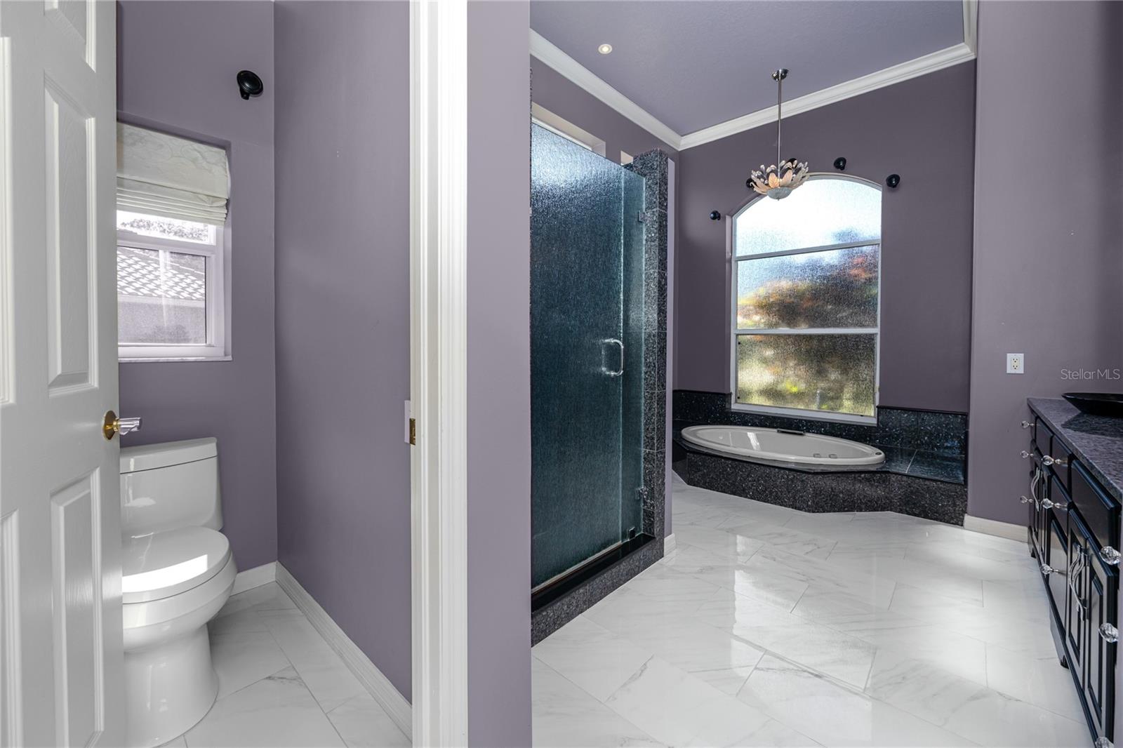 Primary Bath -1471 Briargrove Way, Oldsmar, FL 34677