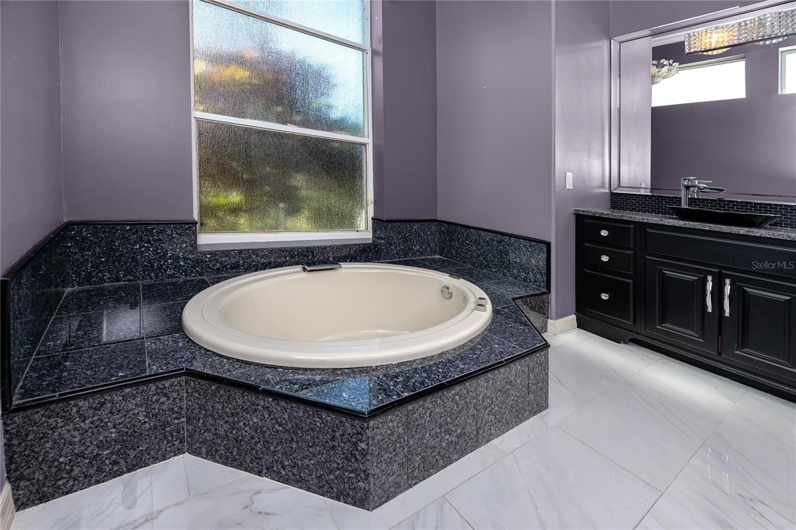 Primary Bath -1471 Briargrove Way, Oldsmar, FL 34677