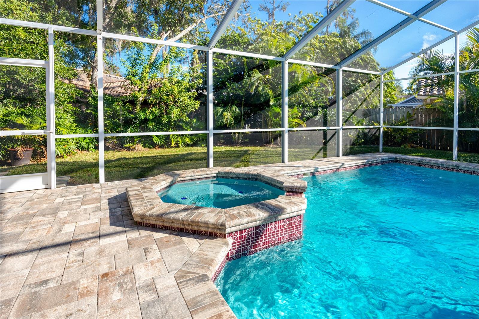 Pool and Spa-1471 Briargrove Way, Oldsmar, FL 34677