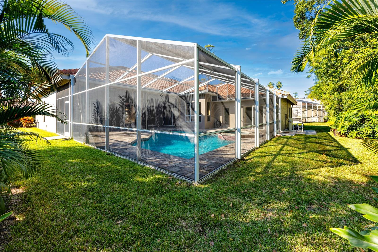 Back Yard -1471 Briargrove Way, Oldsmar, FL 34677