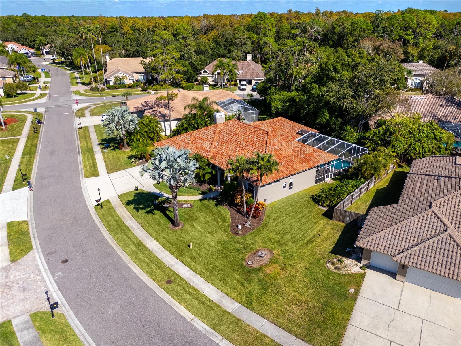 Aerial View -1471 Briargrove Way, Oldsmar, FL 34677