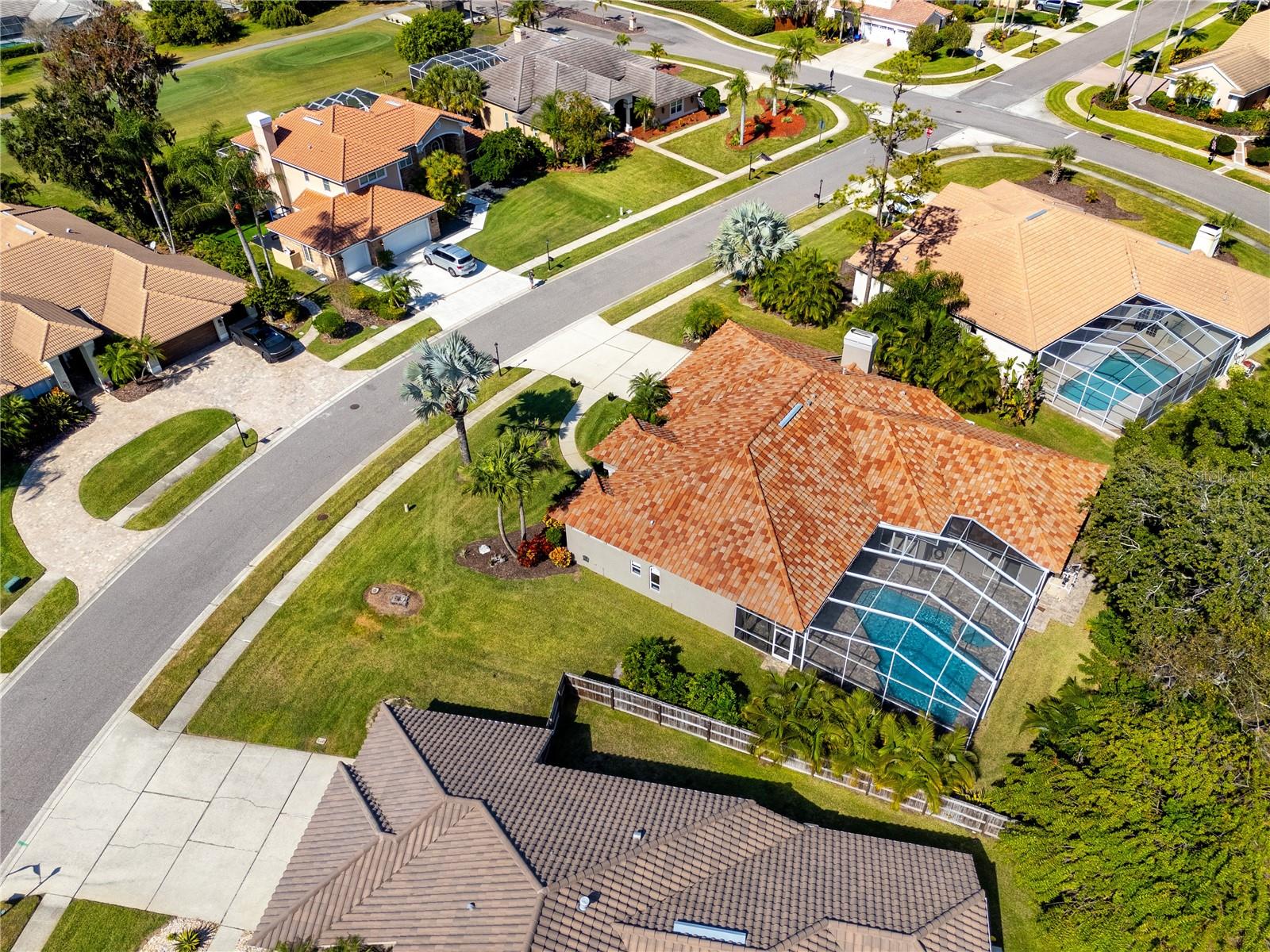 Aerial View -1471 Briargrove Way, Oldsmar, FL 34677