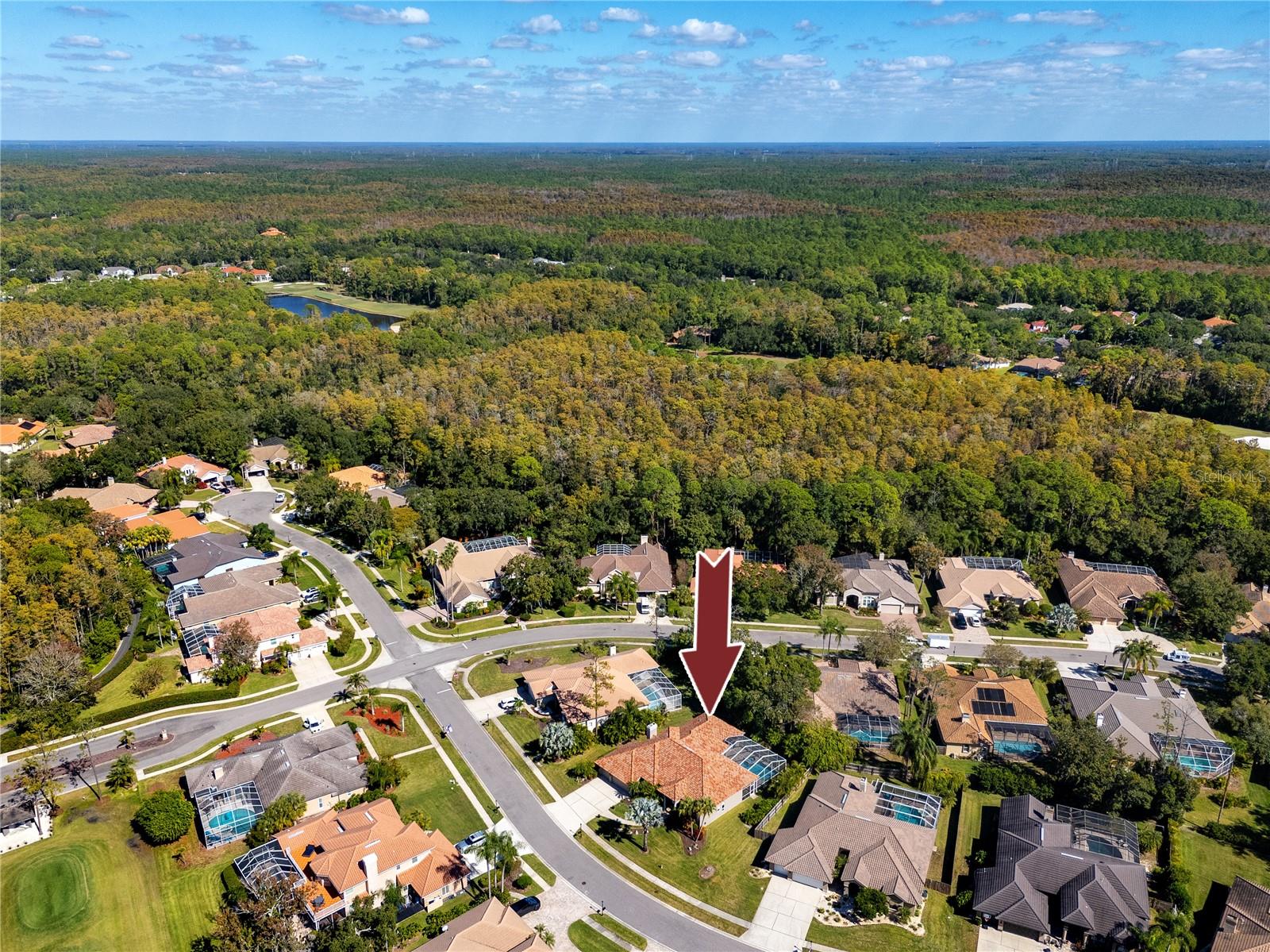 Aerial View -1471 Briargrove Way, Oldsmar, FL 34677