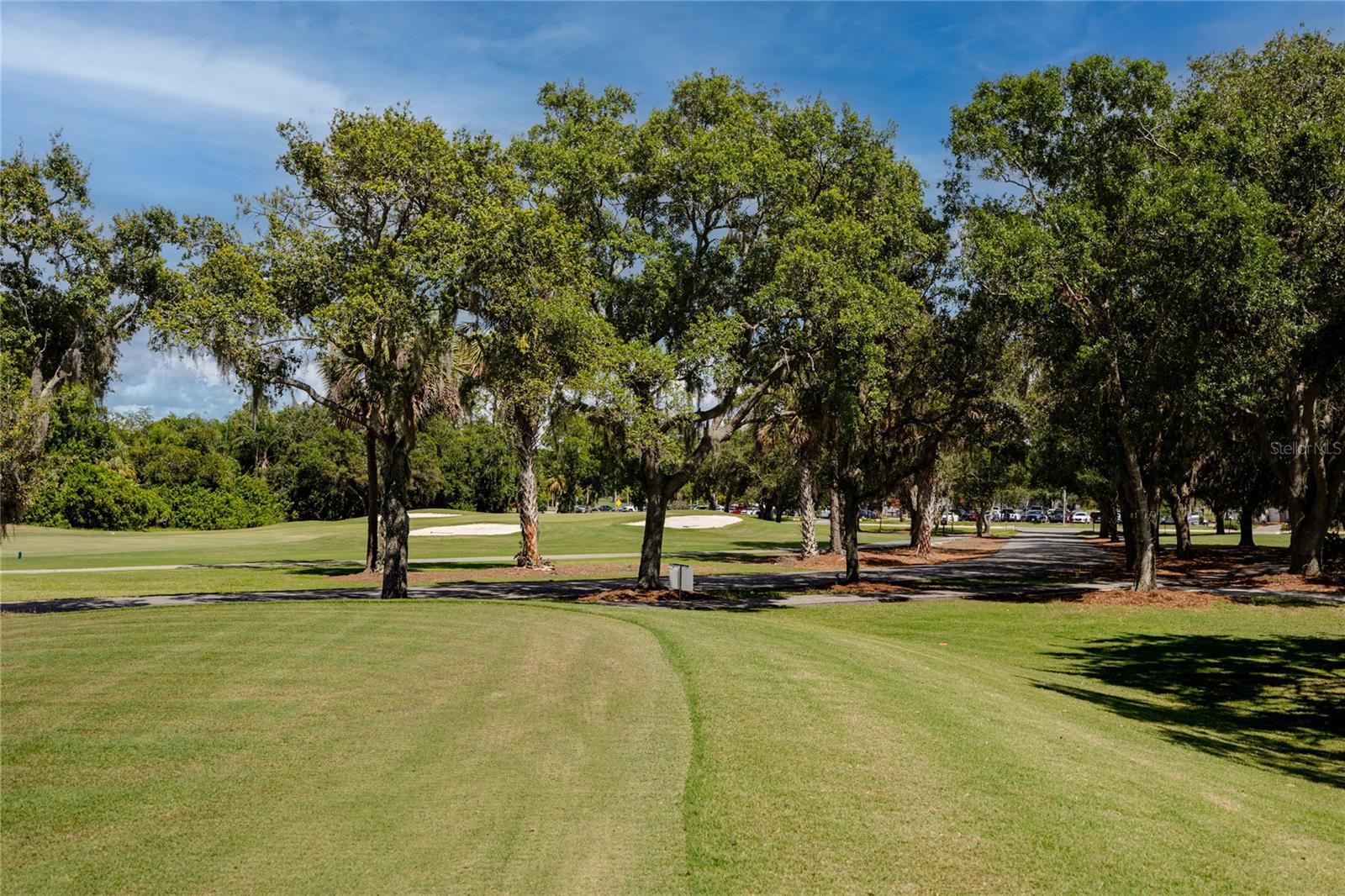 Ardea Country Club Golf Course at East Lake Woodlands