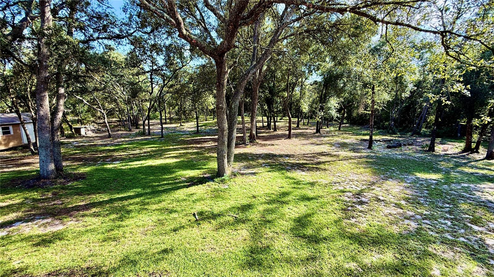Back land view