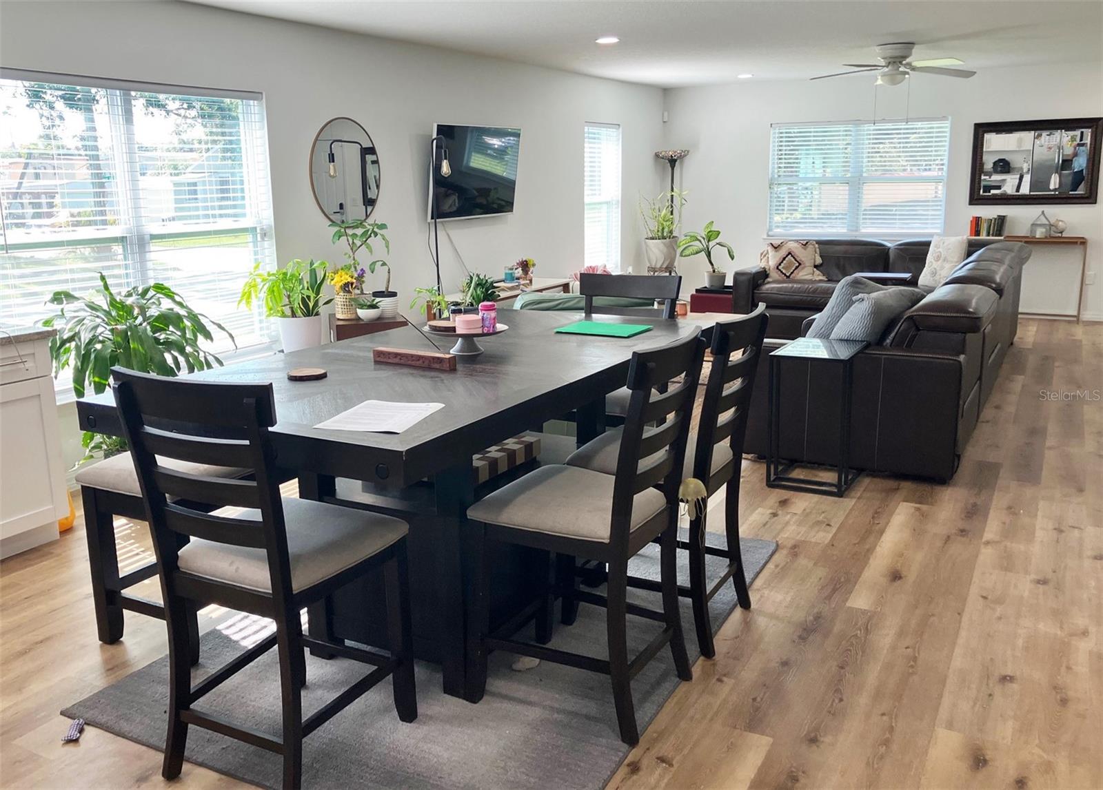 Open Living area