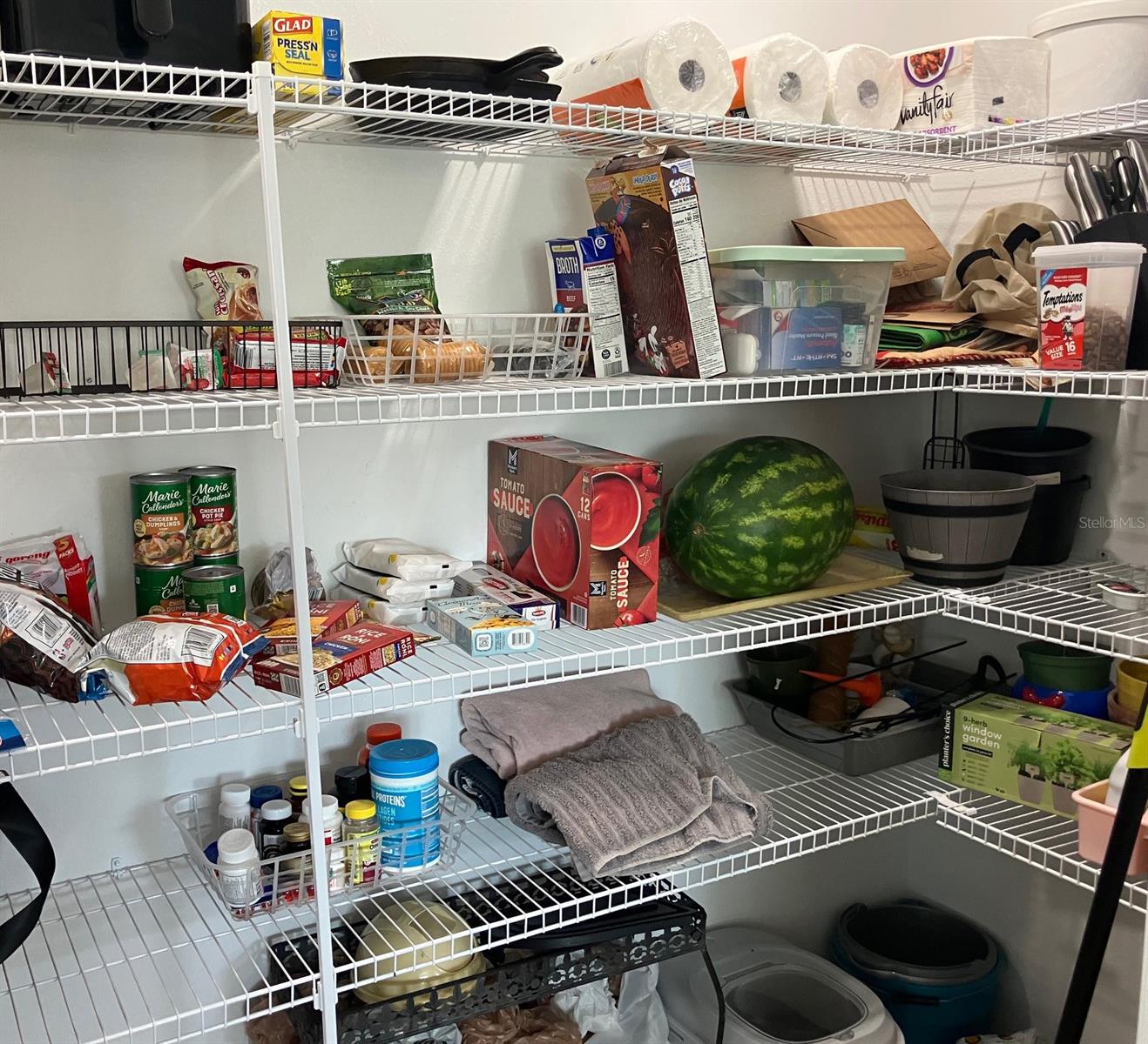 Pantry in kitchen