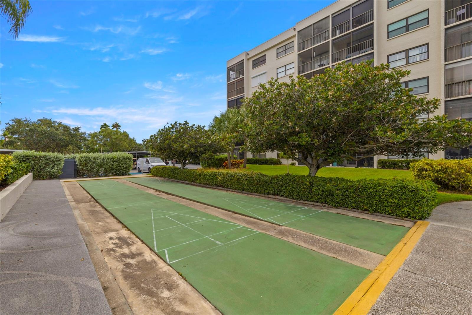Community Shuffleboard