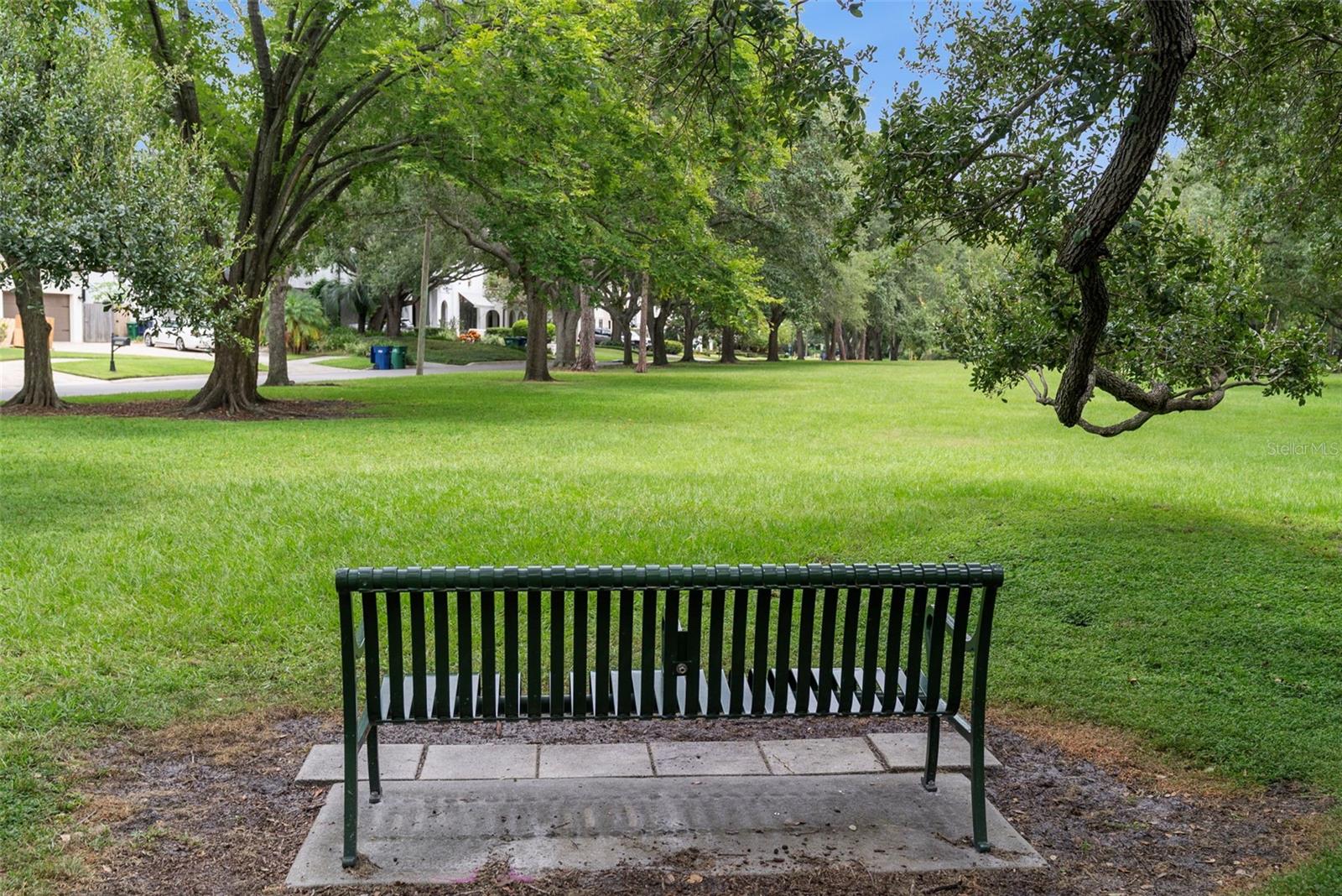 One of the best kept secrets in South Tampa!