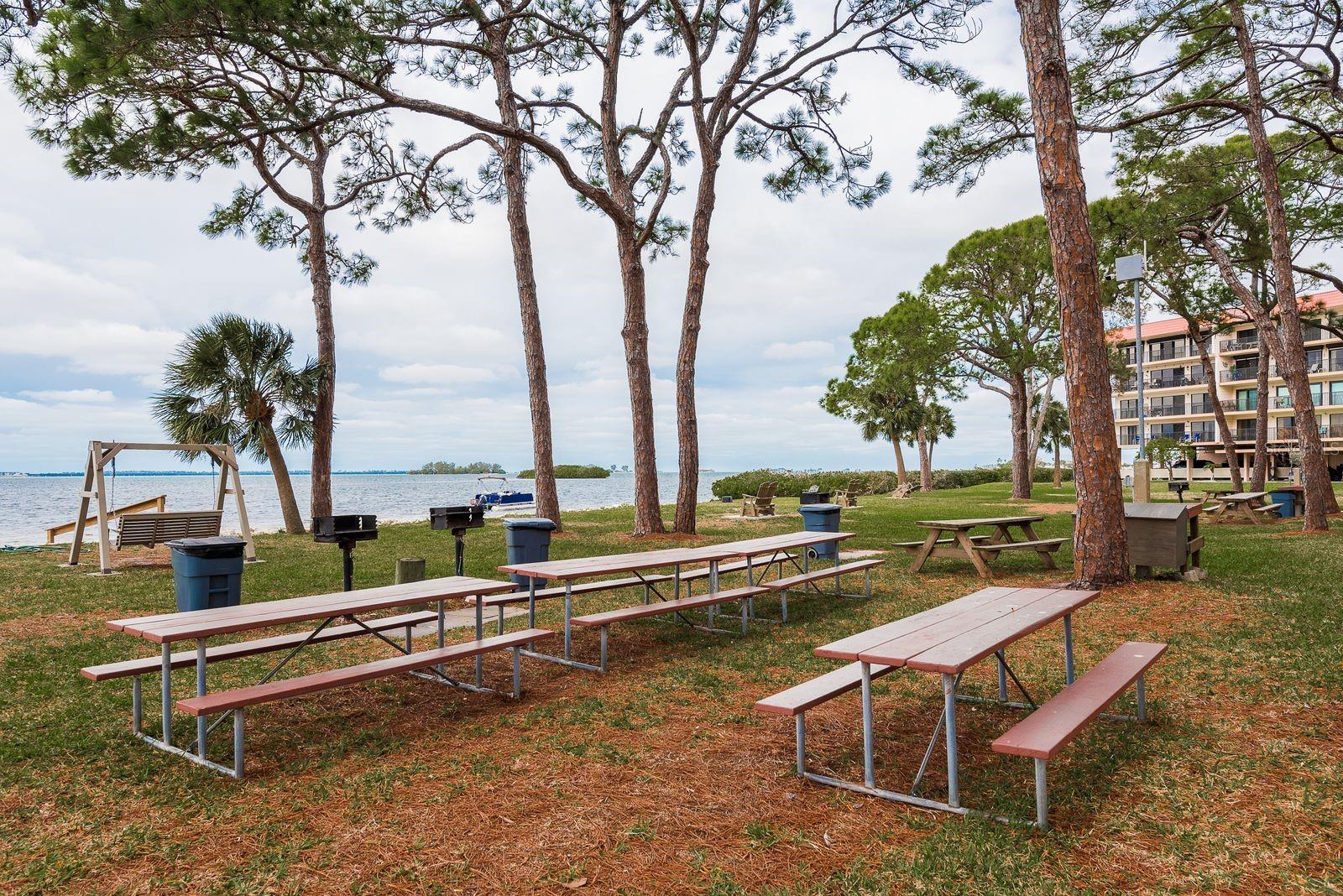 Amenity Picnic BBQ