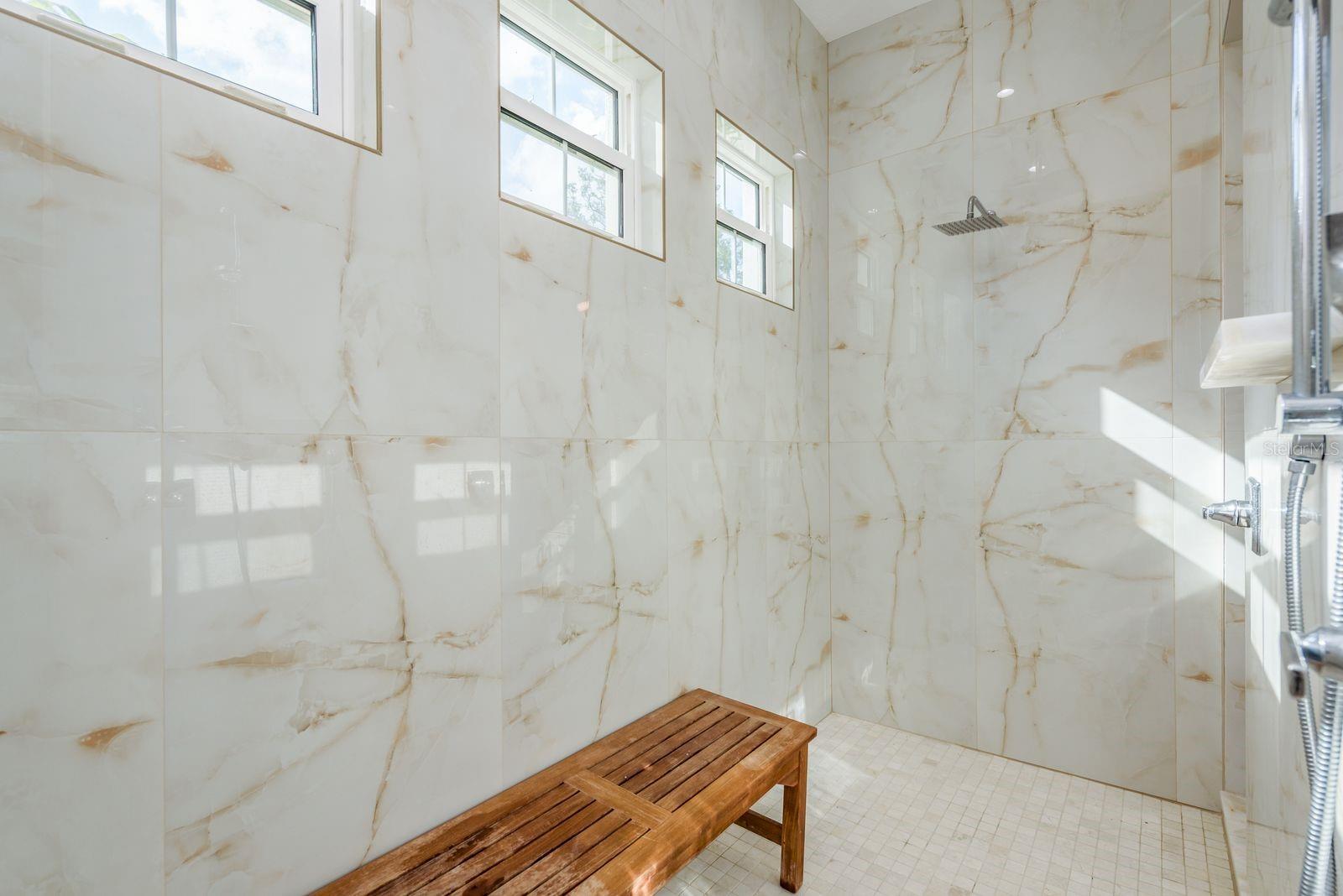 Primary Shower