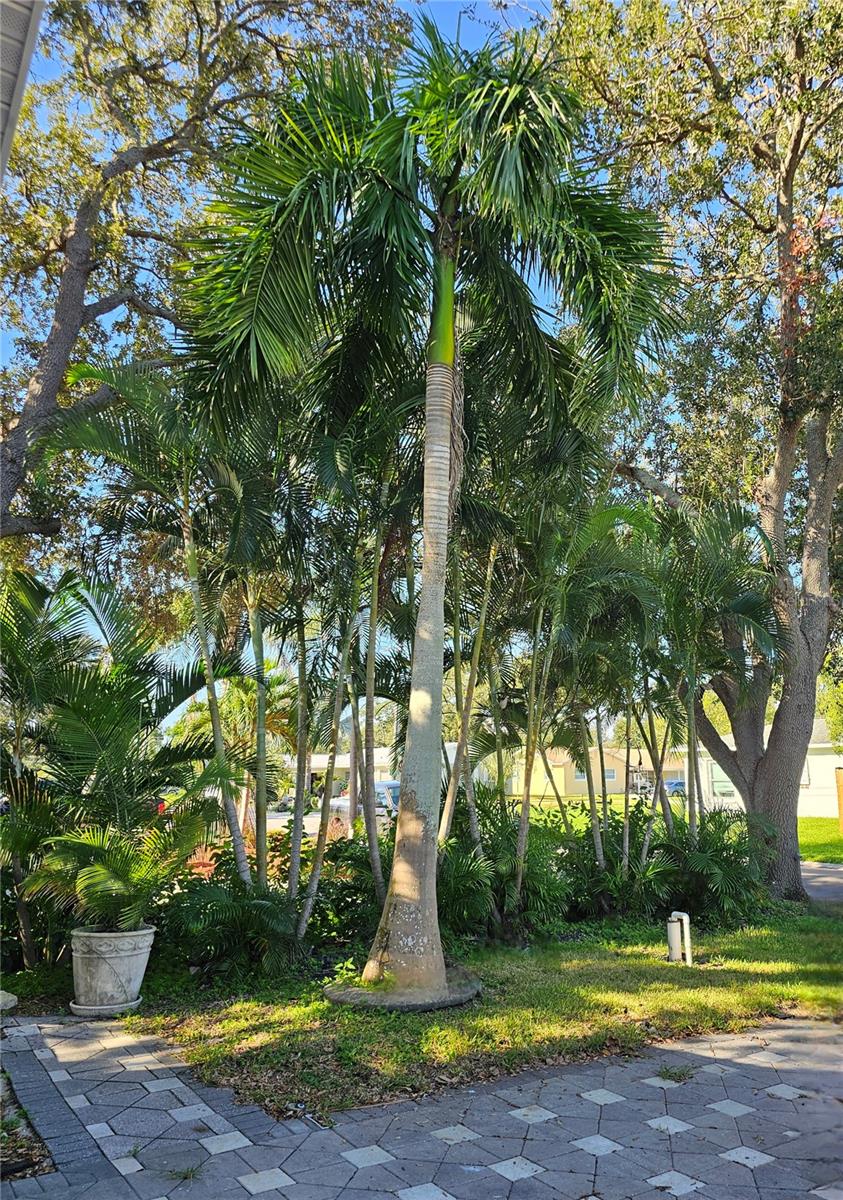 Nice landscaping!