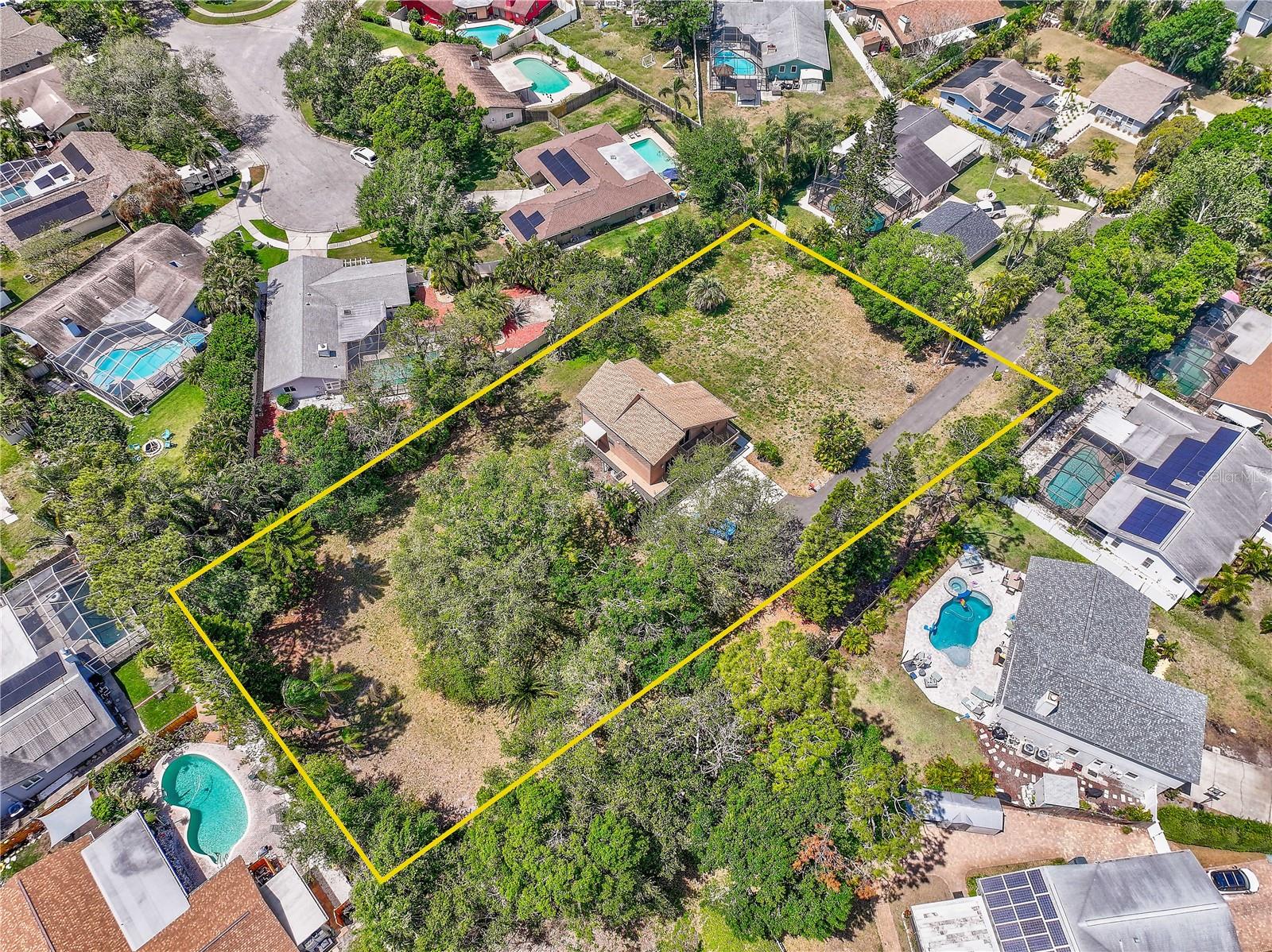 Almost 3/4 Acre Oasis in Seminole!  Possibility to subdivide!
