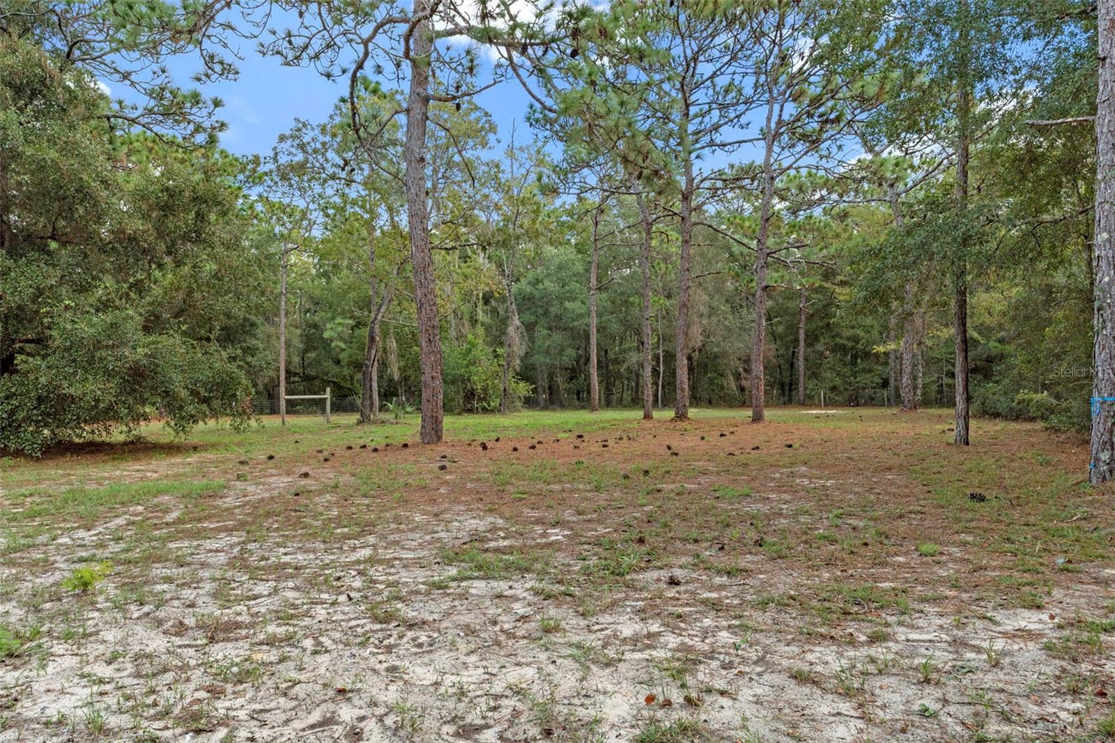 W7879072