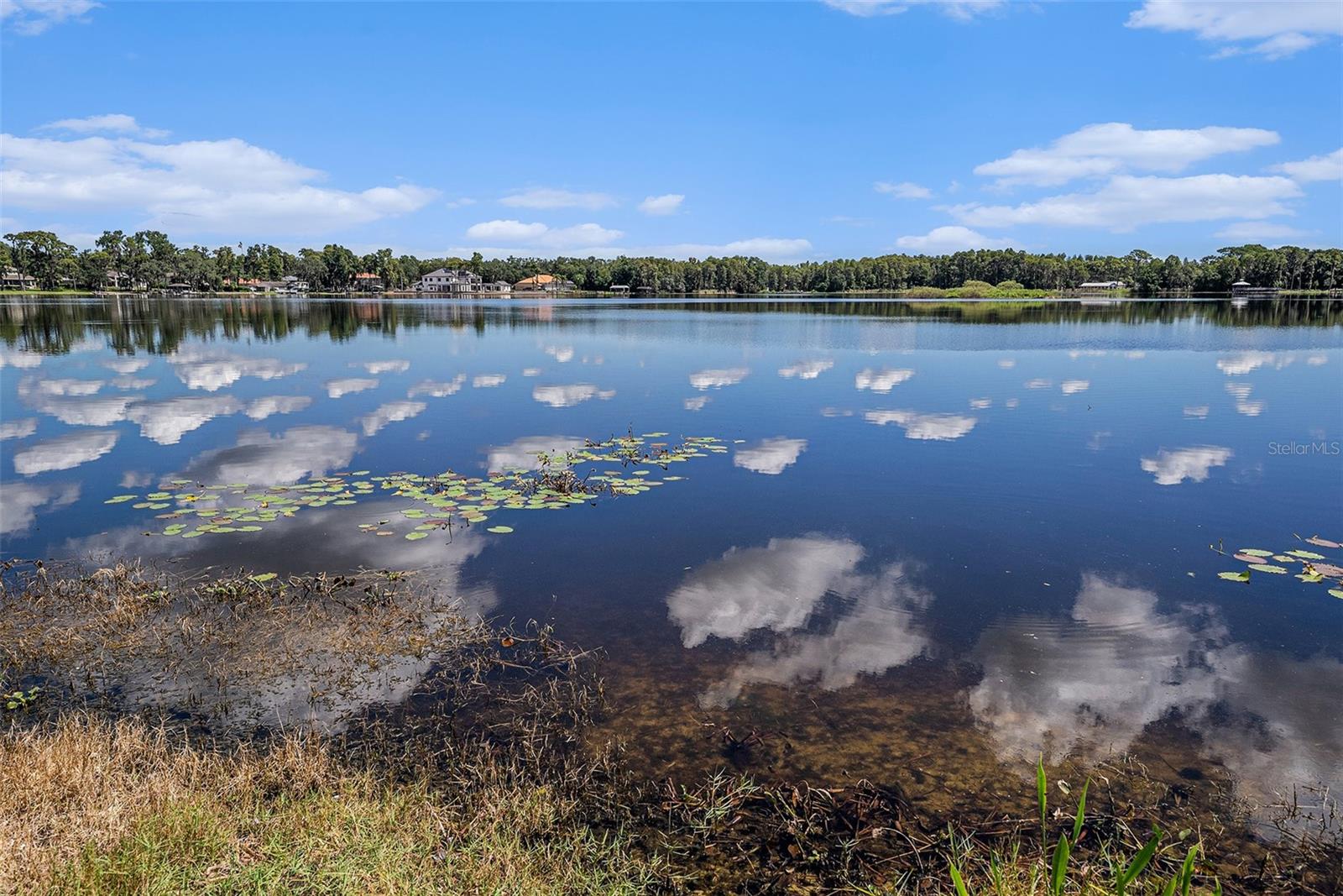 Lake Magdalene is just within walking distance of your new address and perfect for morning and evening strolls