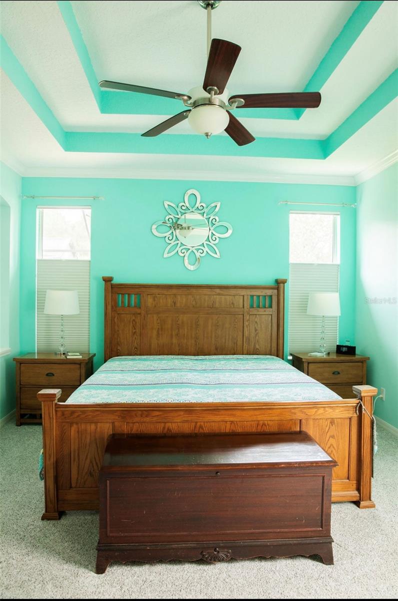 Primary Bedroom with Tray Ceilings