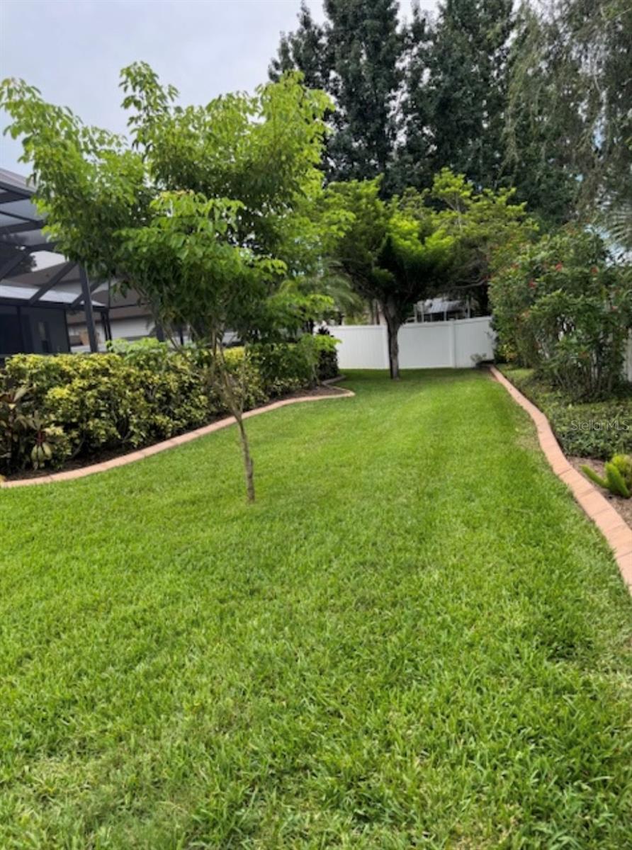 Side Yard