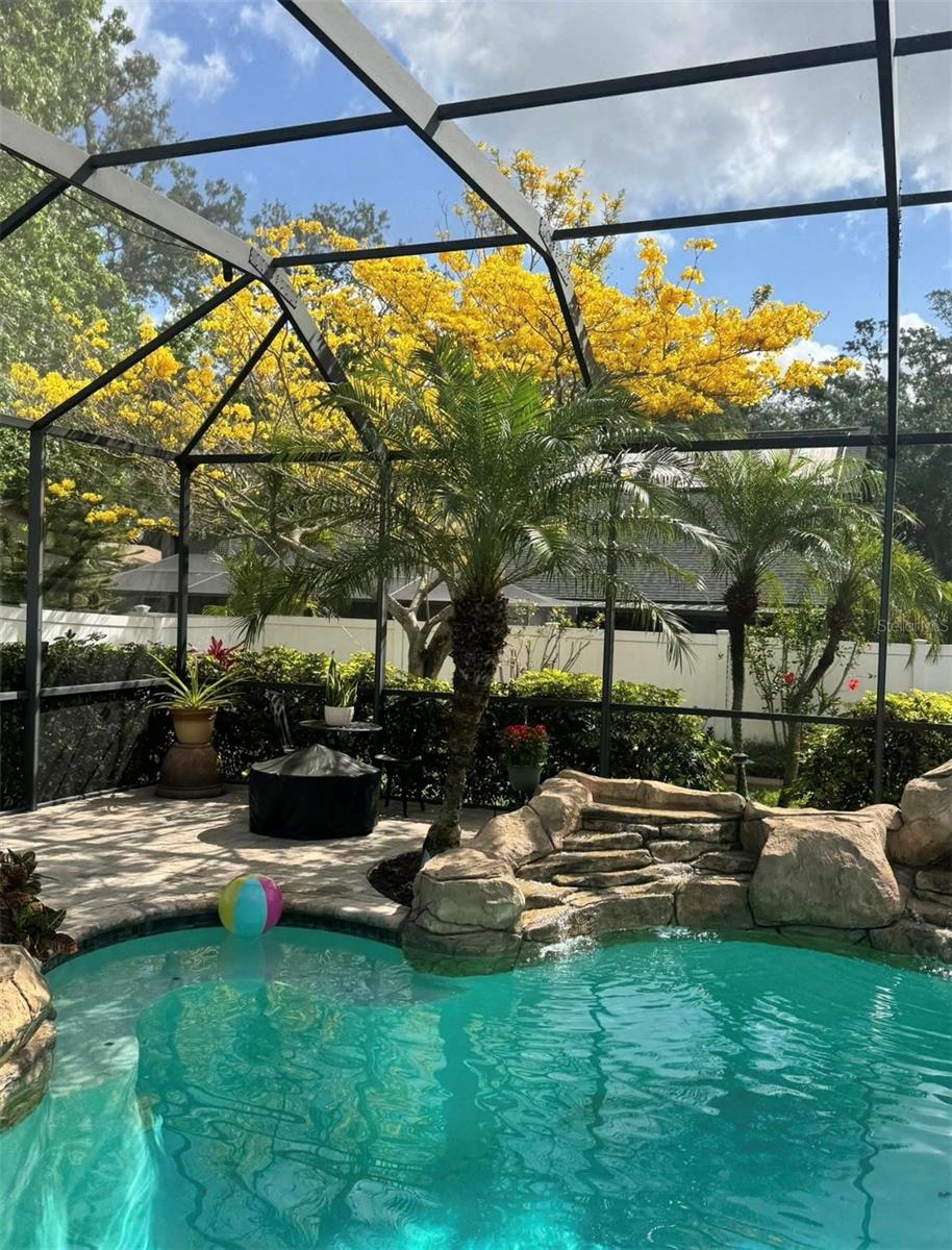 Pool Area