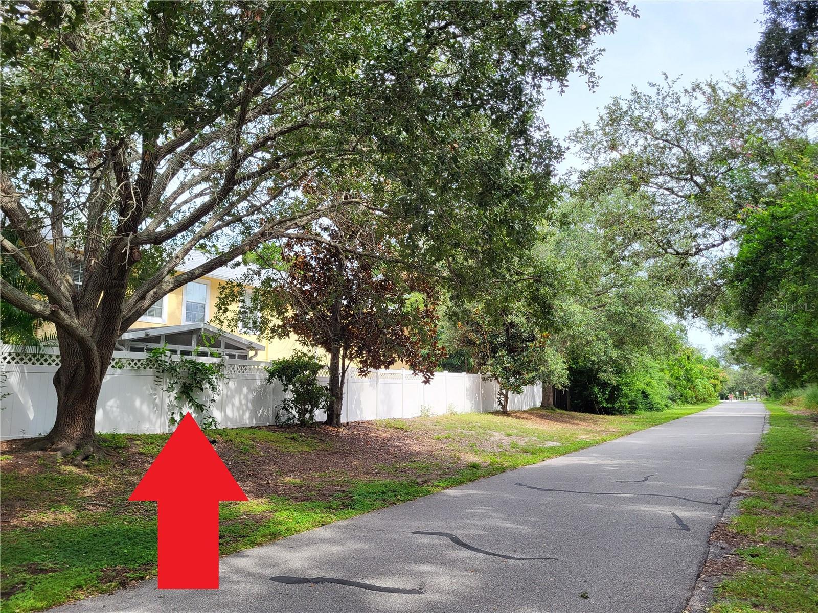 Directly on the Pinellas Trail