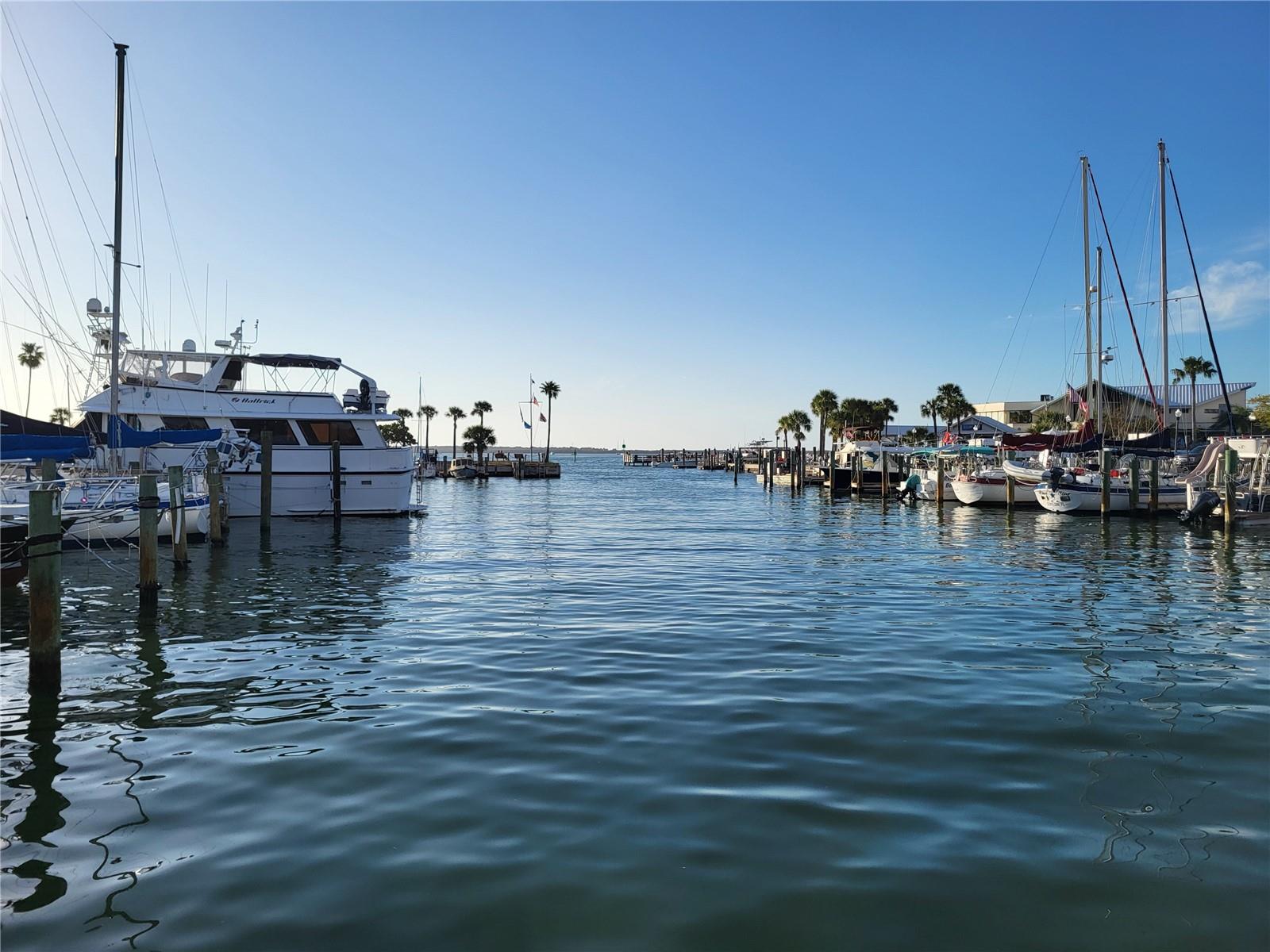 Dunedin Marina