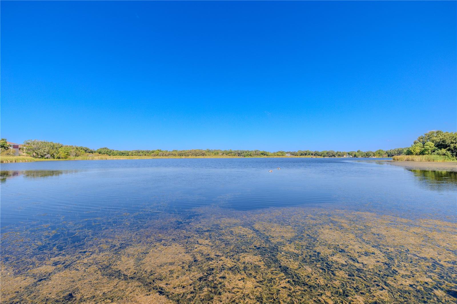 Looking out across the lake, the tranquil setting highlights the natural beauty that defines Villas of Lake Arbor.