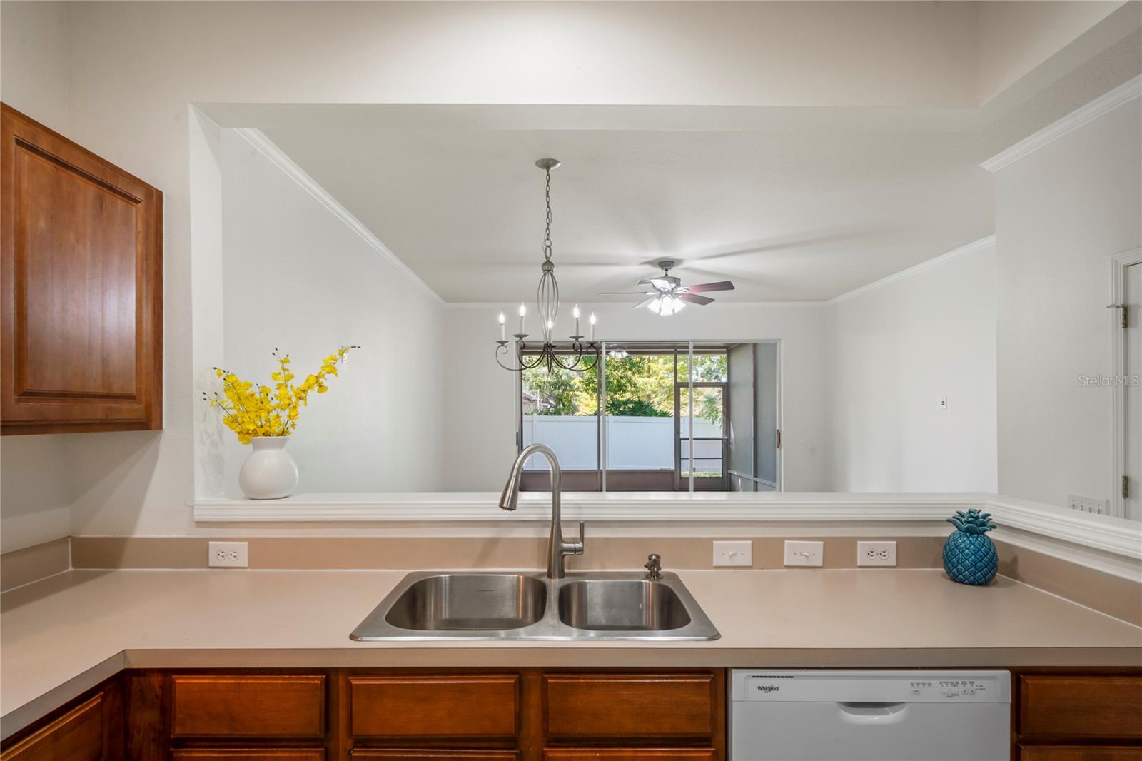 Kitchen sink and counters