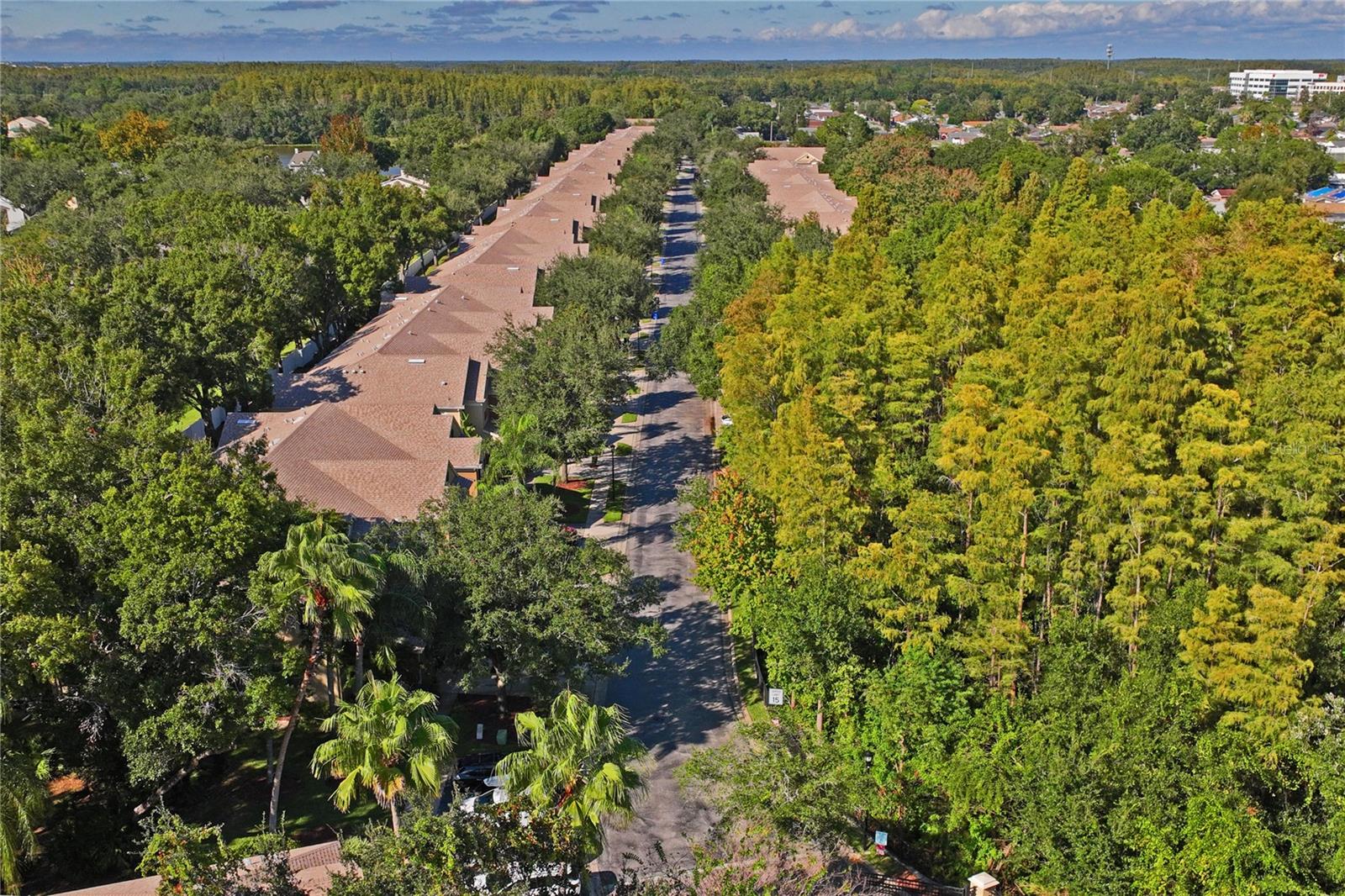 Bird's eye view of community street