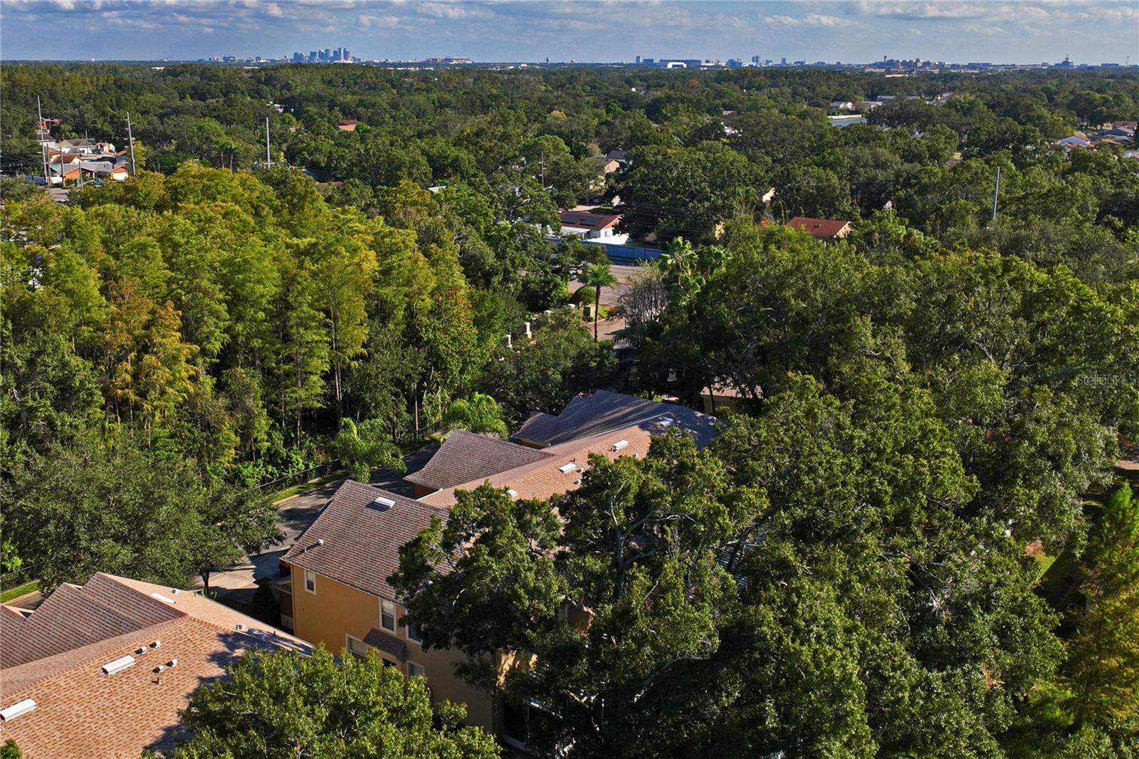 Tampa Bay skyline view on horizon