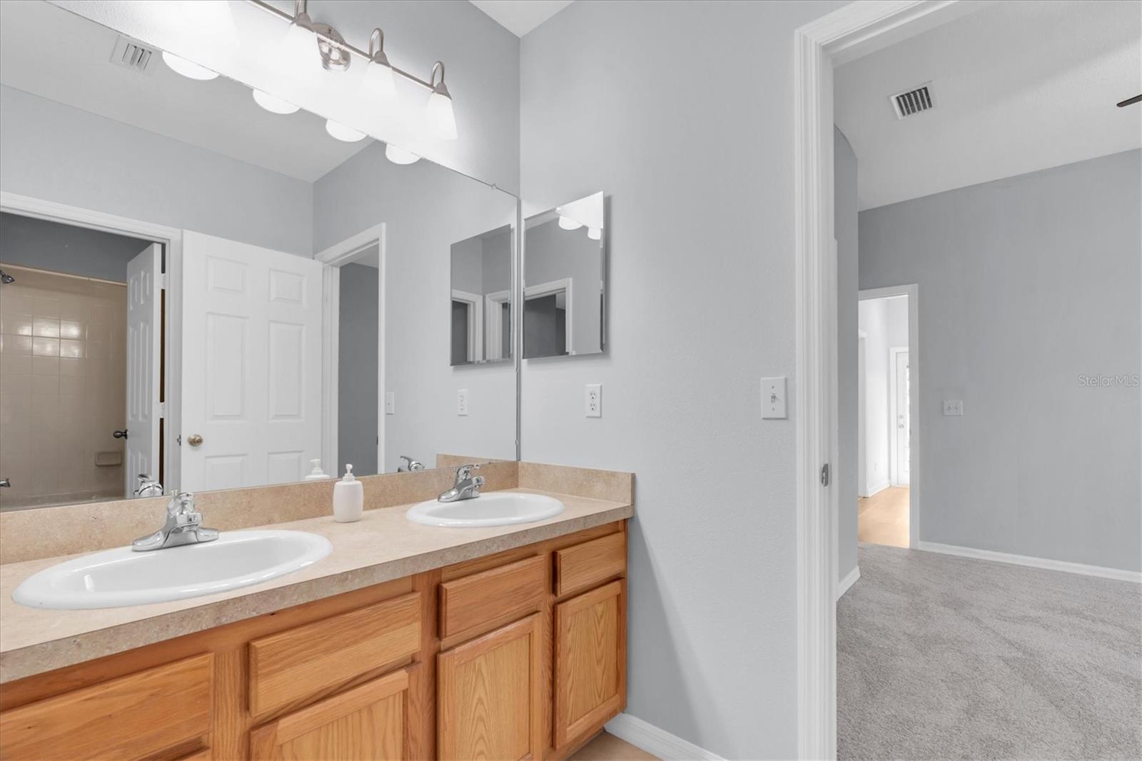 Jack and Jill Bathroom