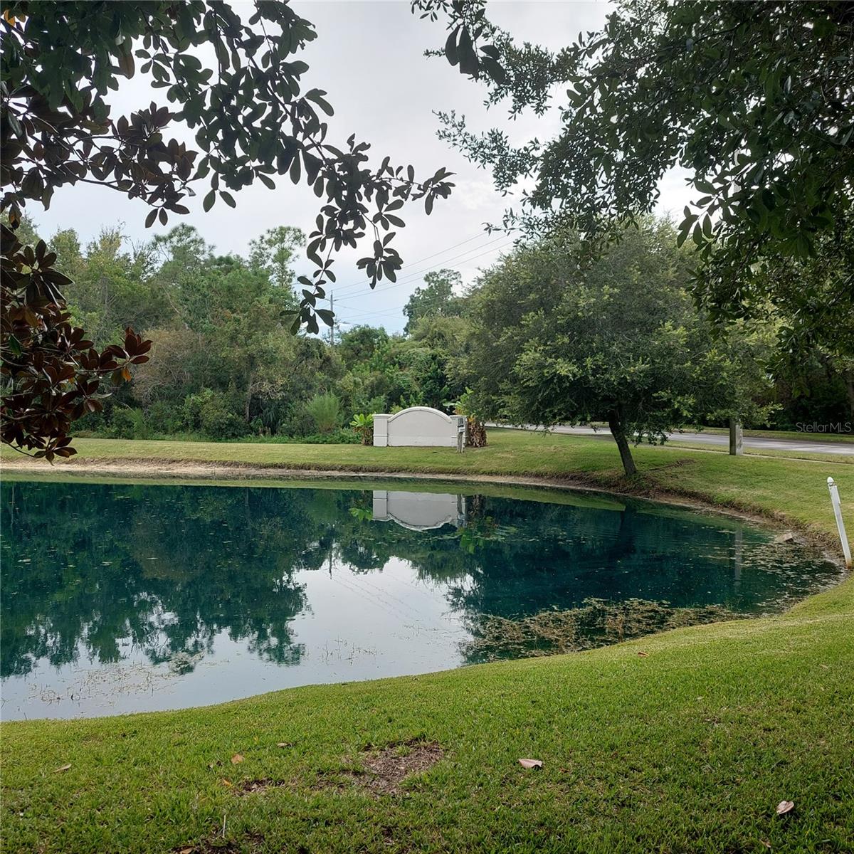 pond view from rear