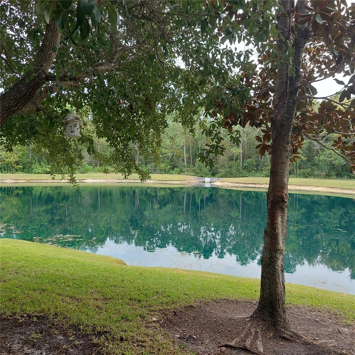 pond view from rear of unit