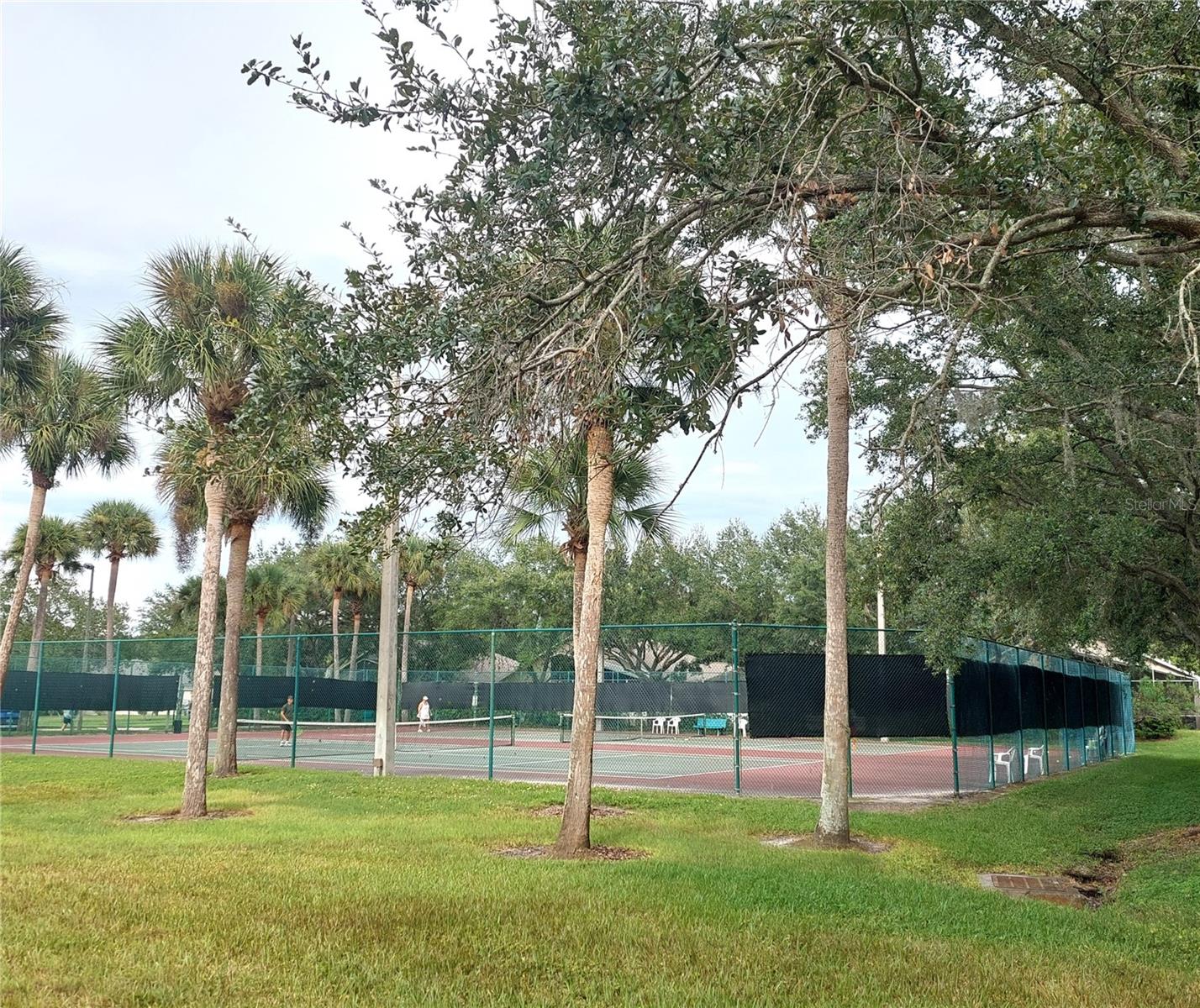 tennis courts
