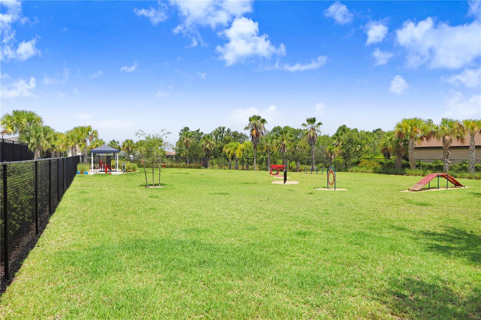 Dog Park 1