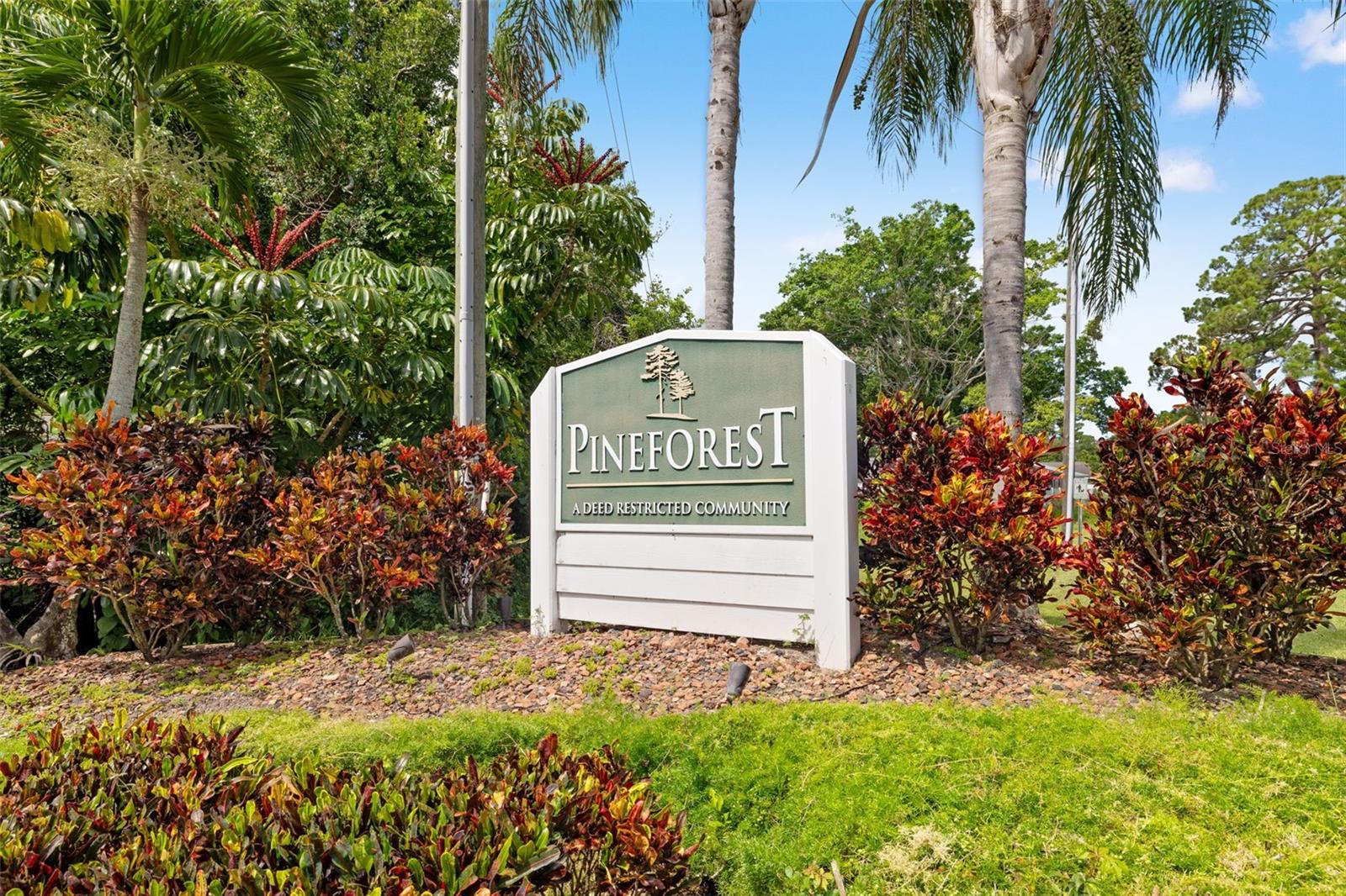 Pineforest Neighborhood
