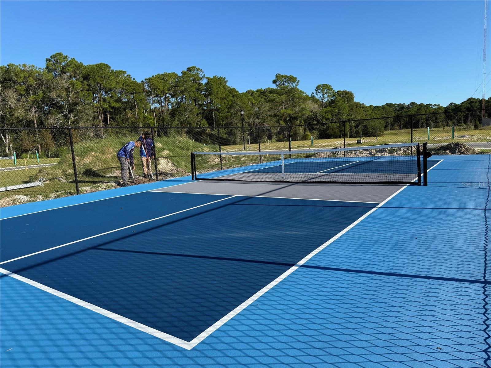 Pickleball Court