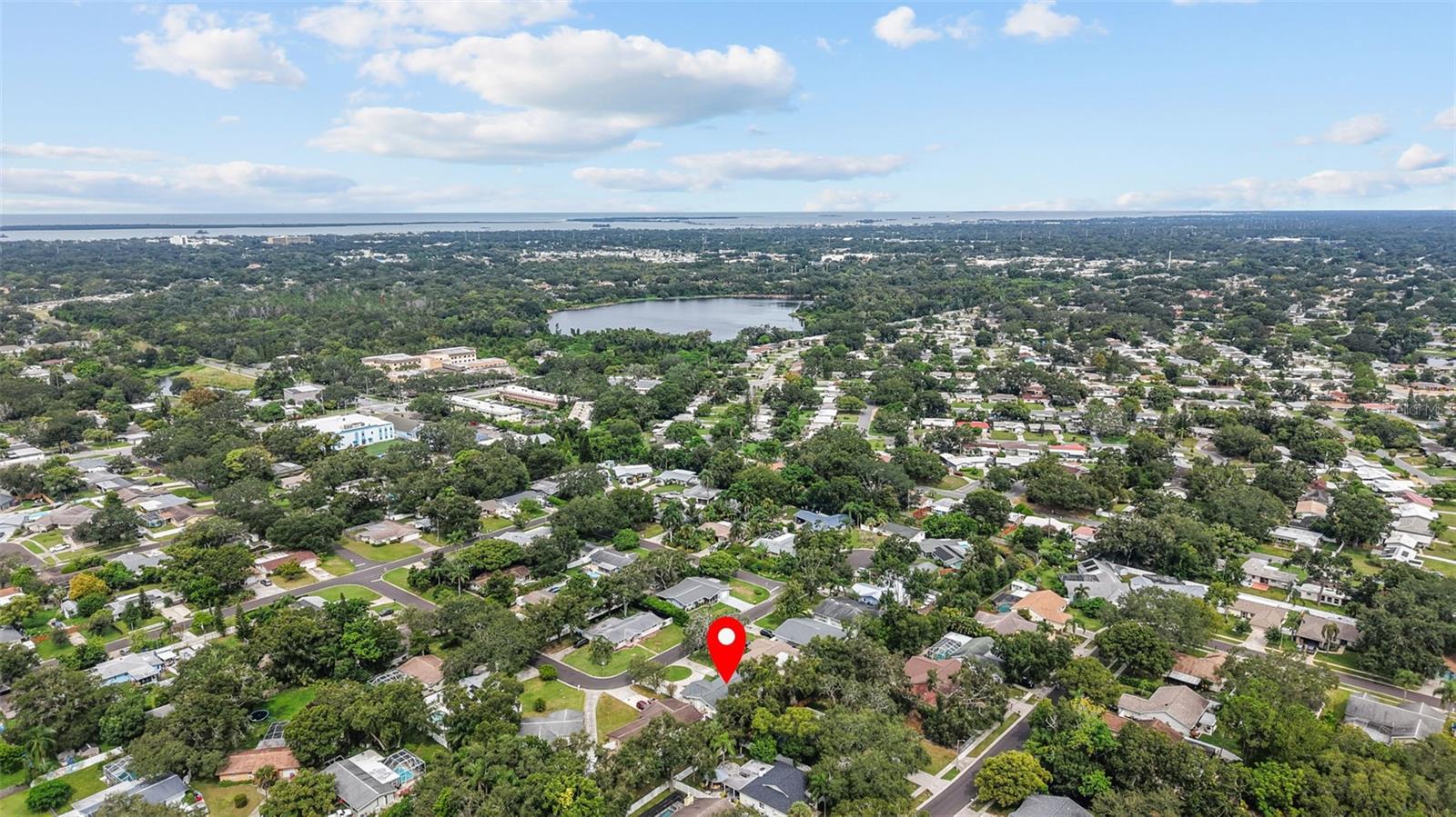 View of the Neighborhood