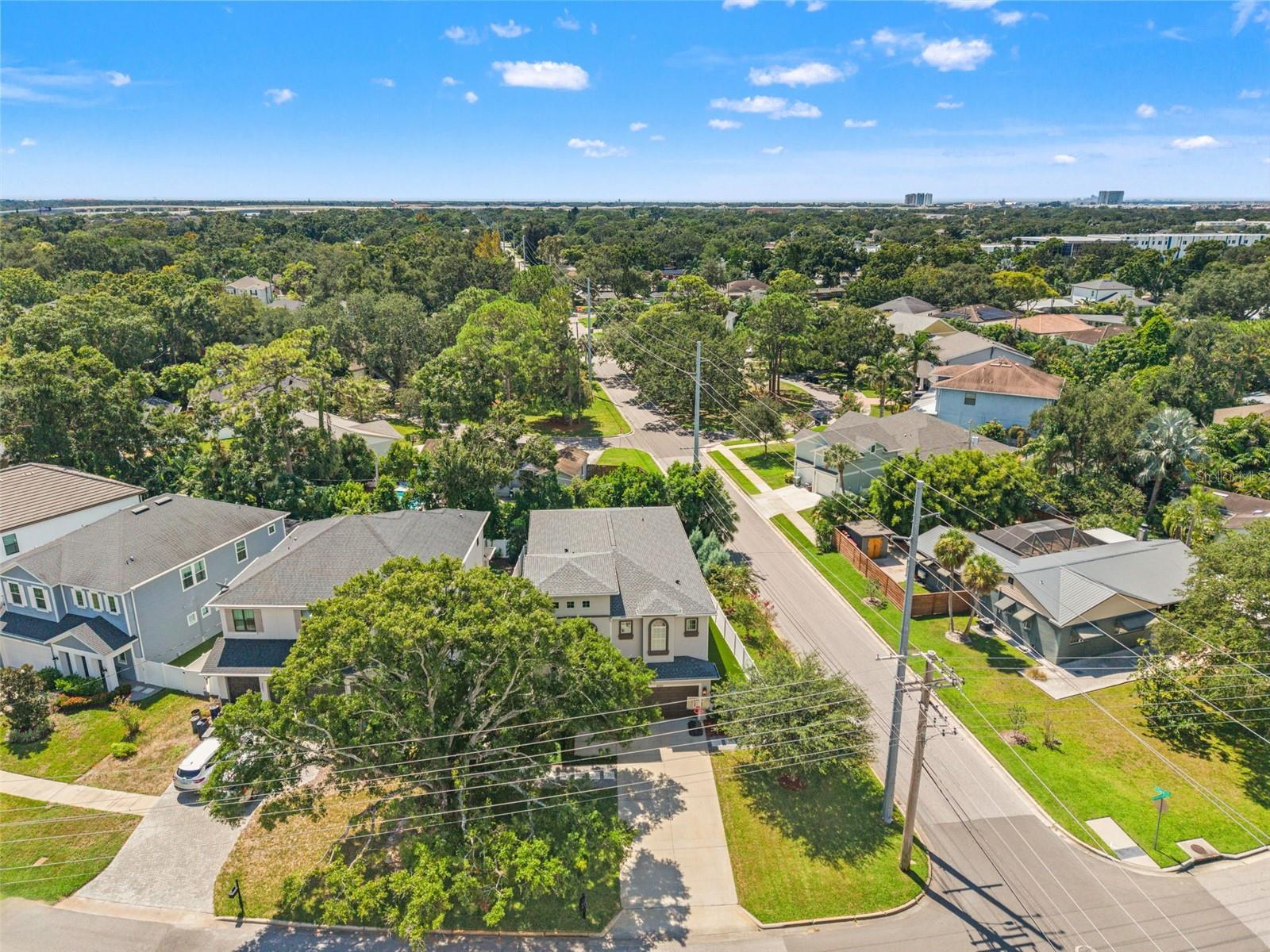 Bird’s-eye perspective highlighting the home’s prime South Tampa location and tree-lined streets.