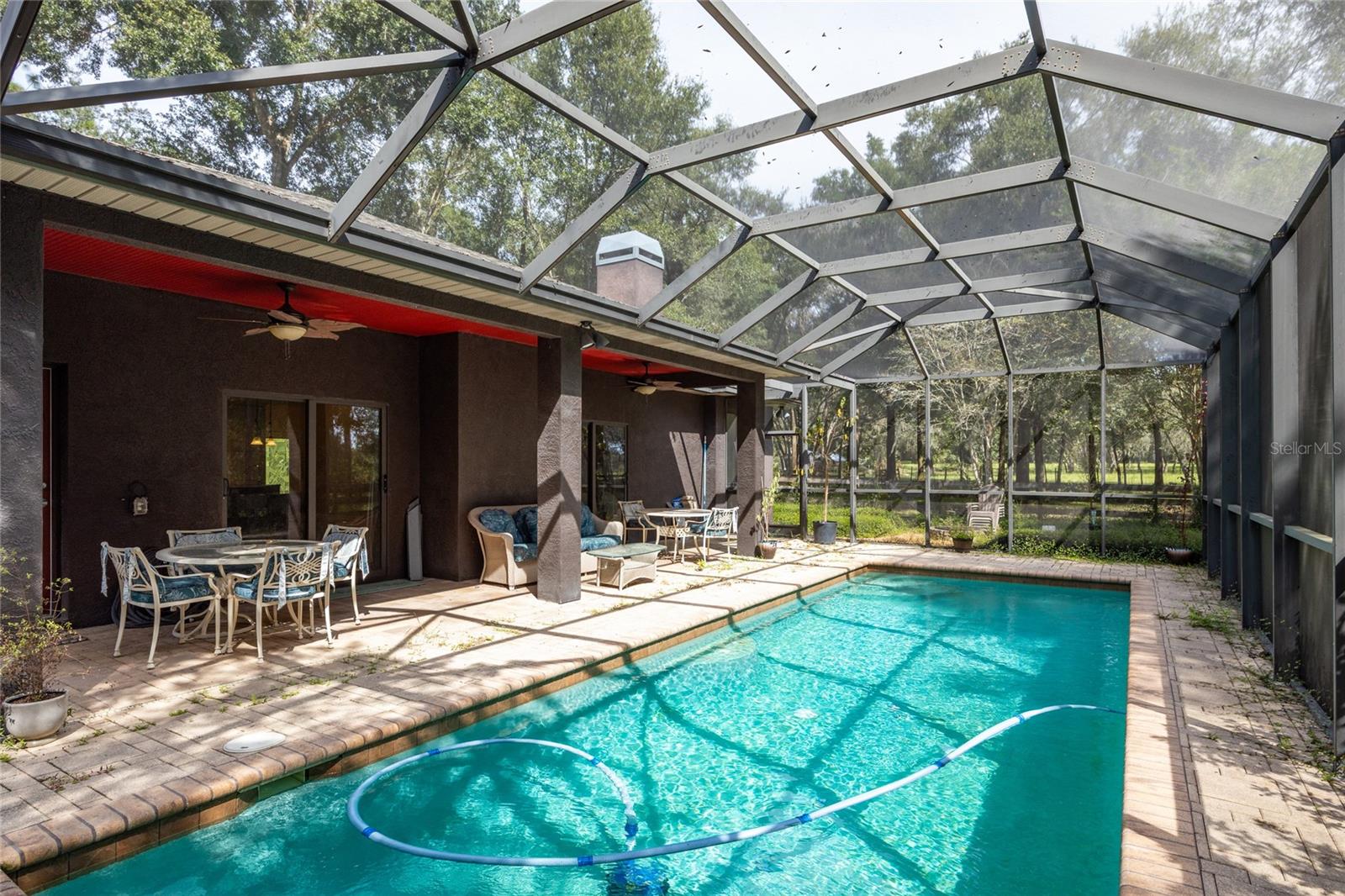 Pool / Back Patio