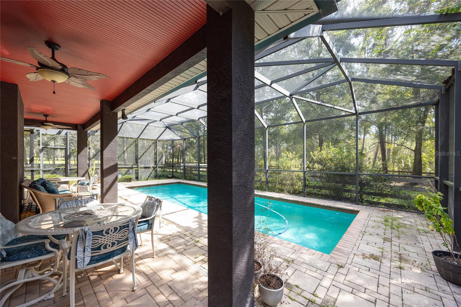 Pool / Back Patio